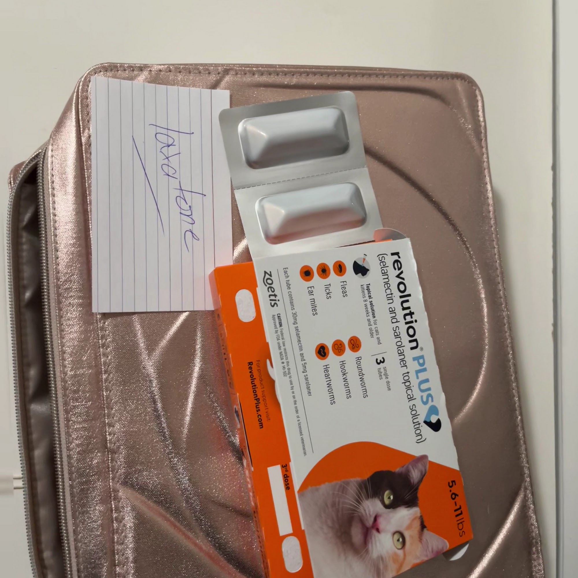 Merwin Memorial Free Clinic For Animals, Inc Boston