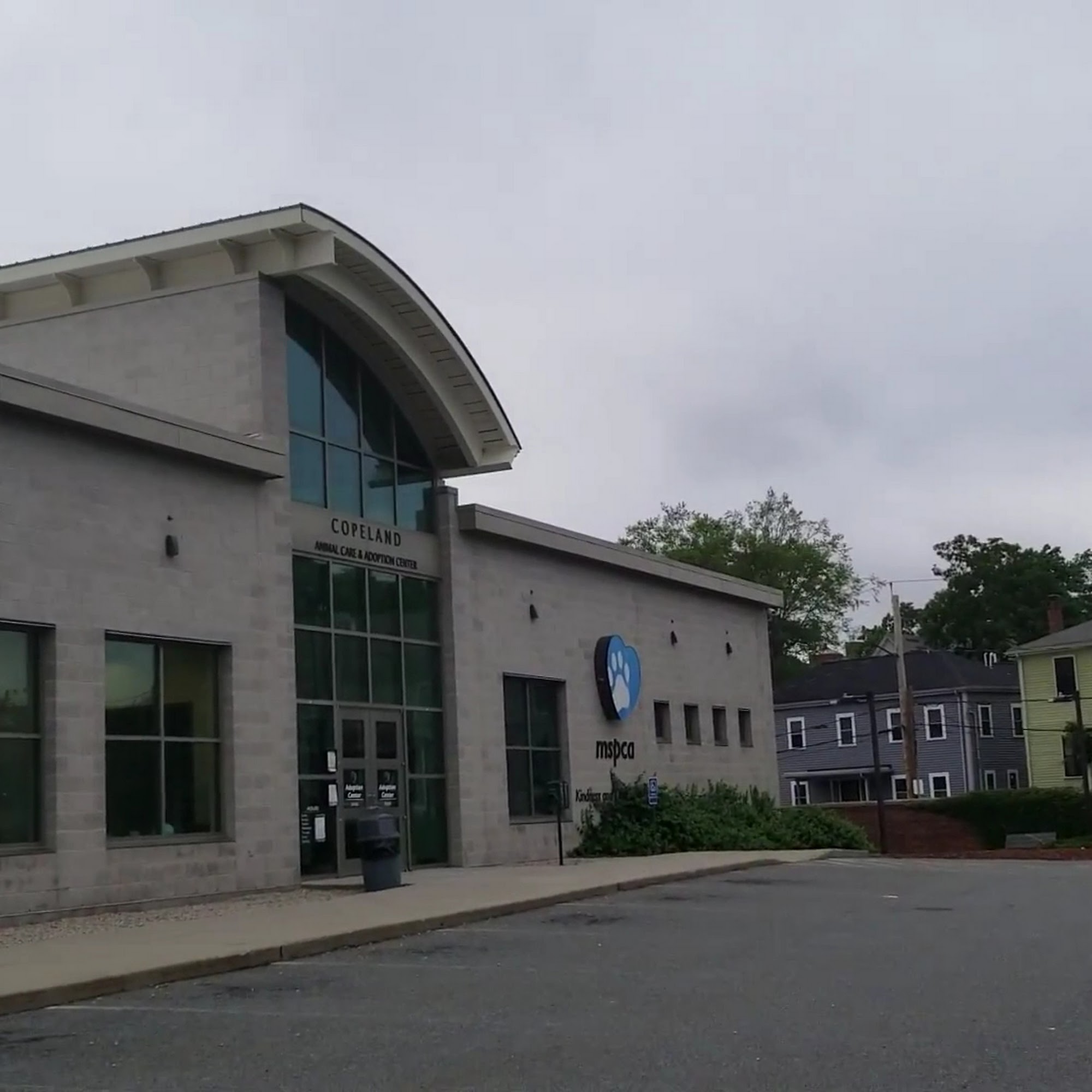 Angell Animal Medical Center Boston