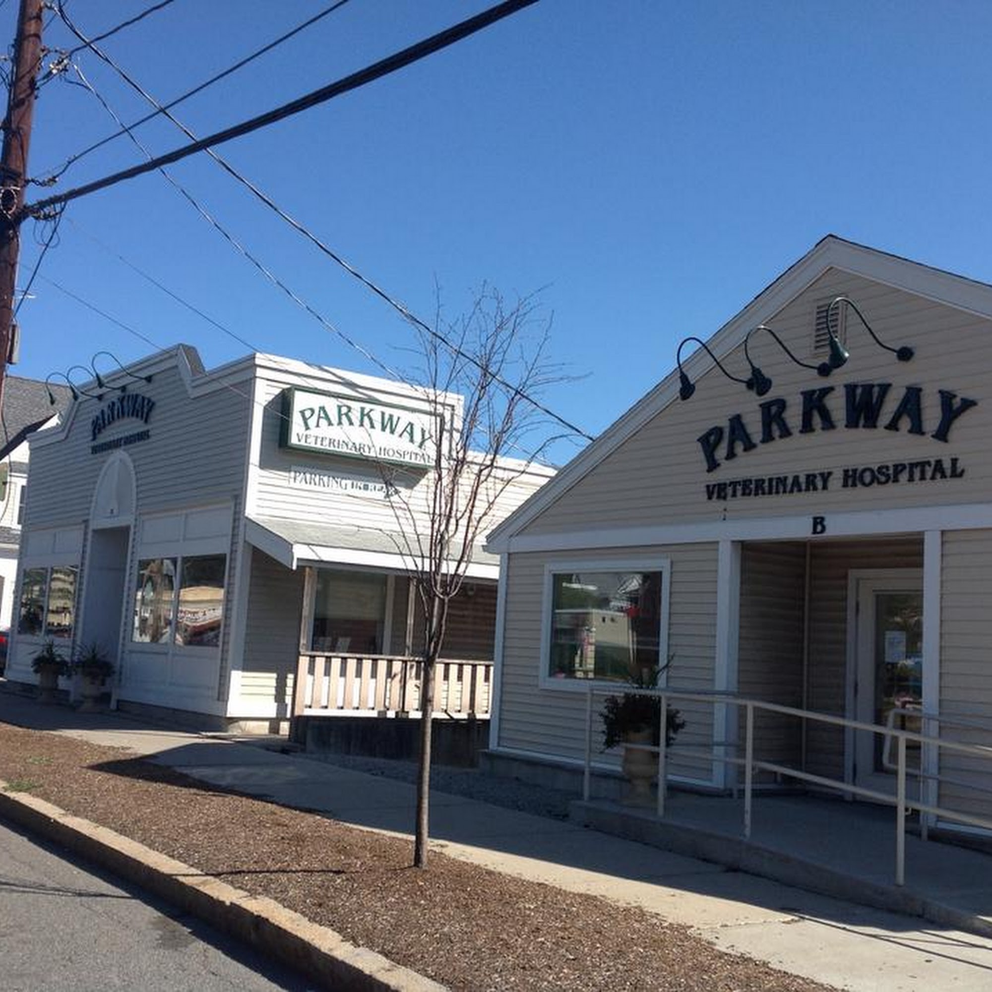 Parkway Veterinary Hospital Boston