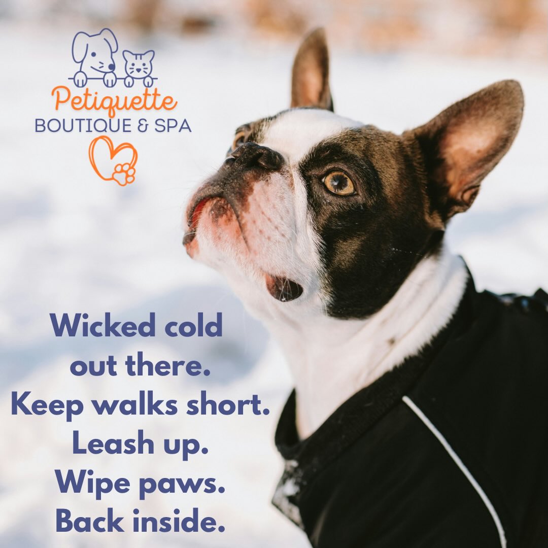 Petiquette Boutique and Spa Boston