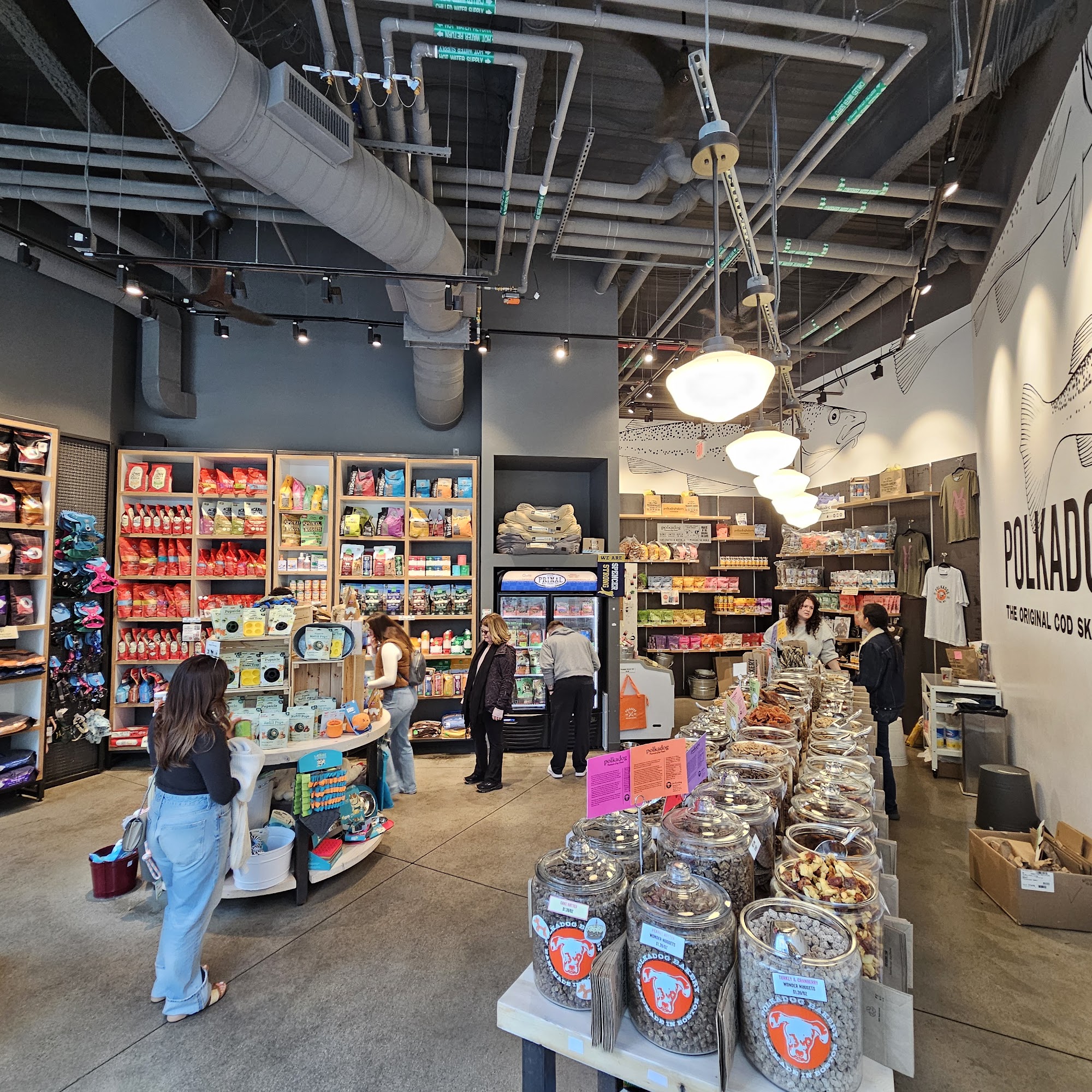 Polkadog Bakery Boston