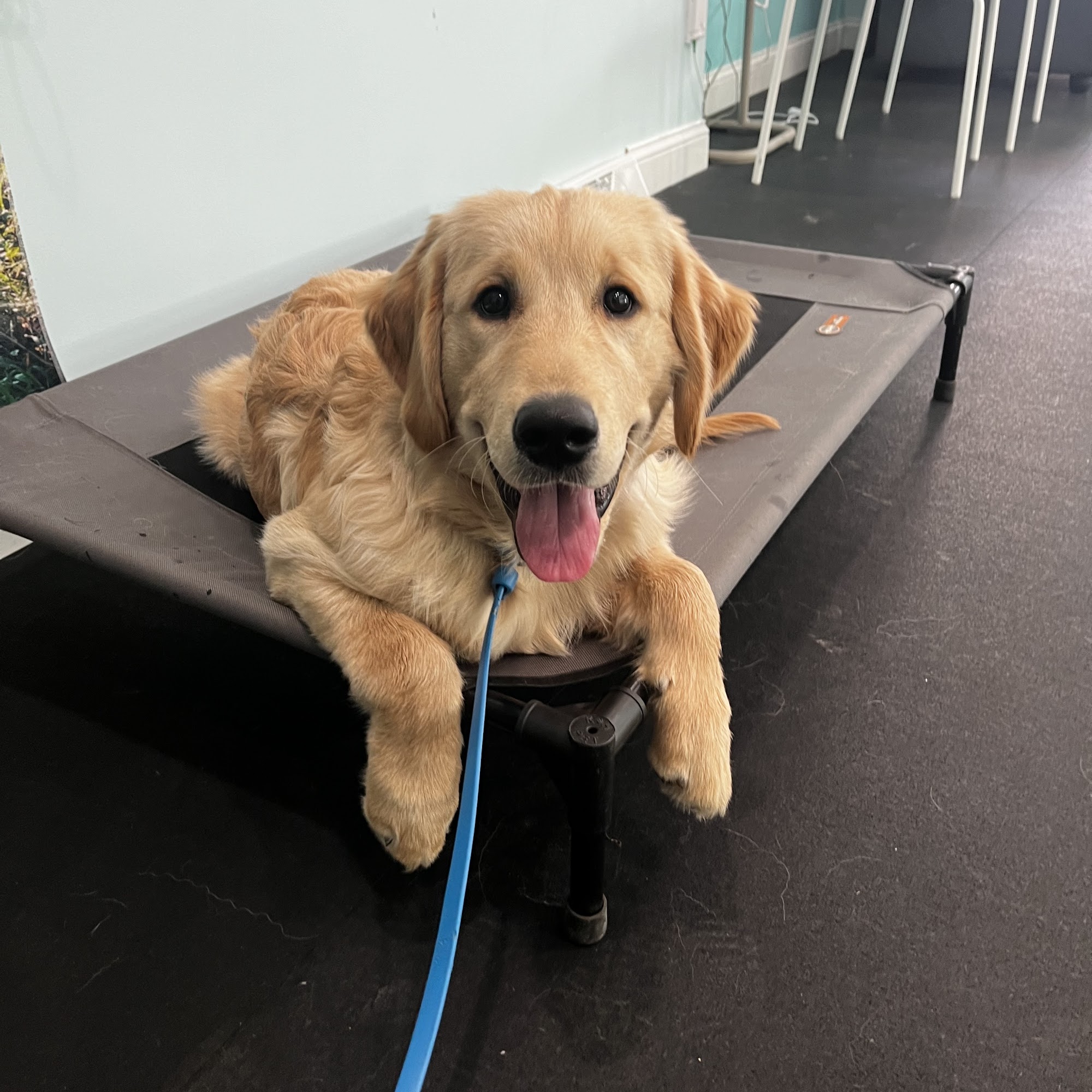 Ruff Translating Boston