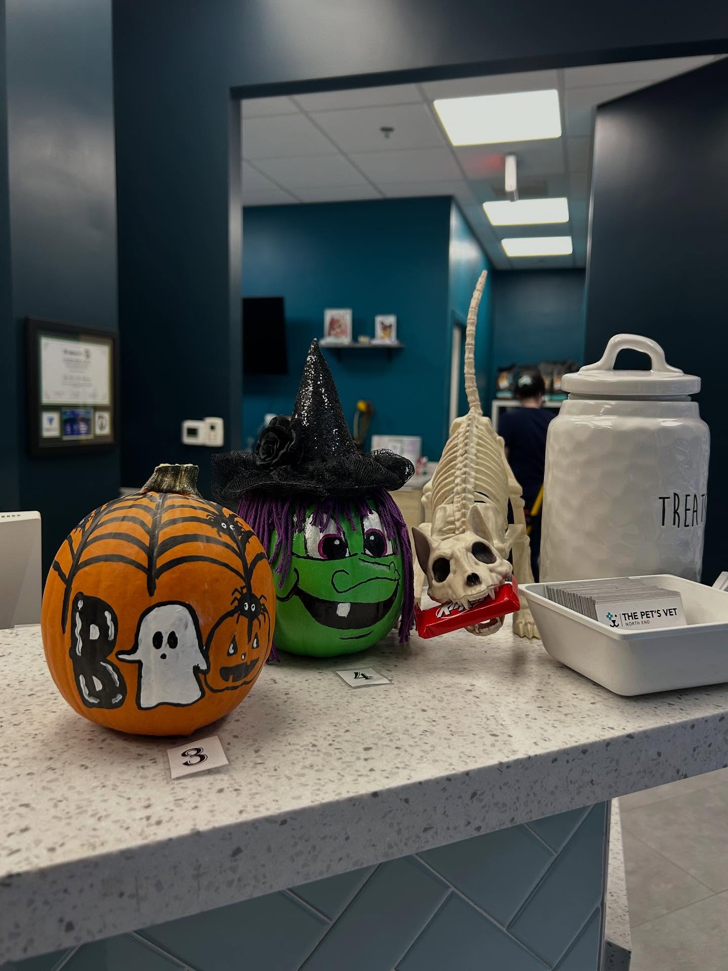The Pet's Vet North End Boston