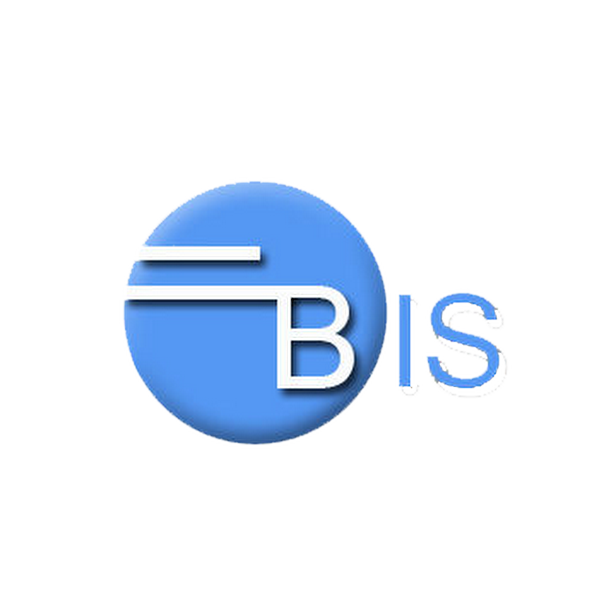 Boston InfoSystems, Inc