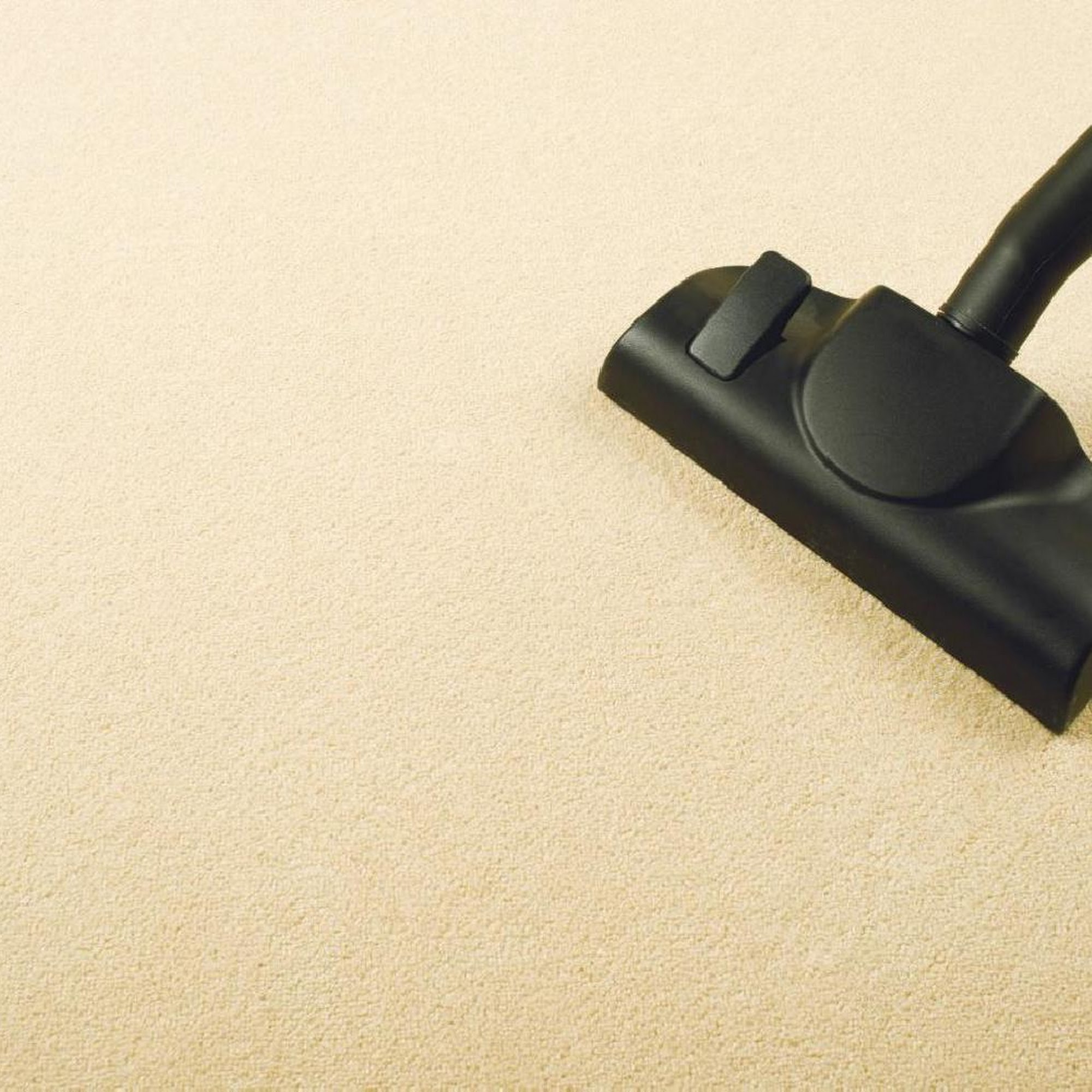 Shawmut Carpets Care