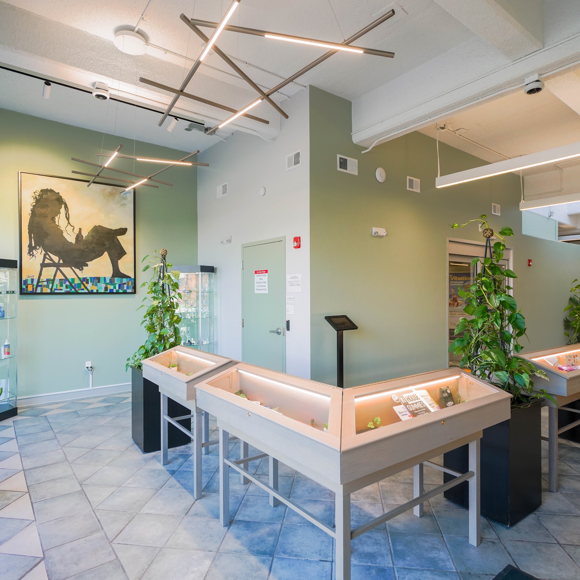 Comm Ave Canna: Recreational Cannabis Dispensary, Boston - Brookline MA Boston
