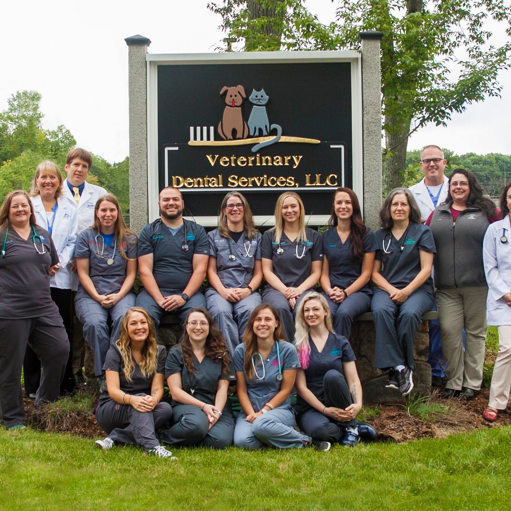 Veterinary Dental Services, LLC Boxborough