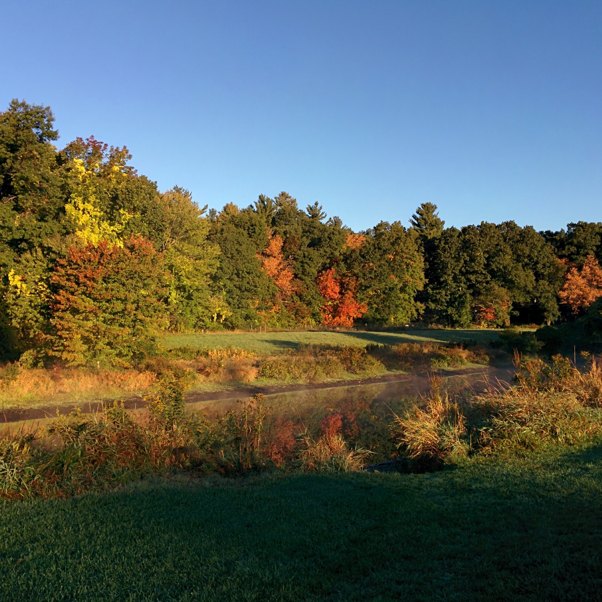 Flerra Meadows Boxborough