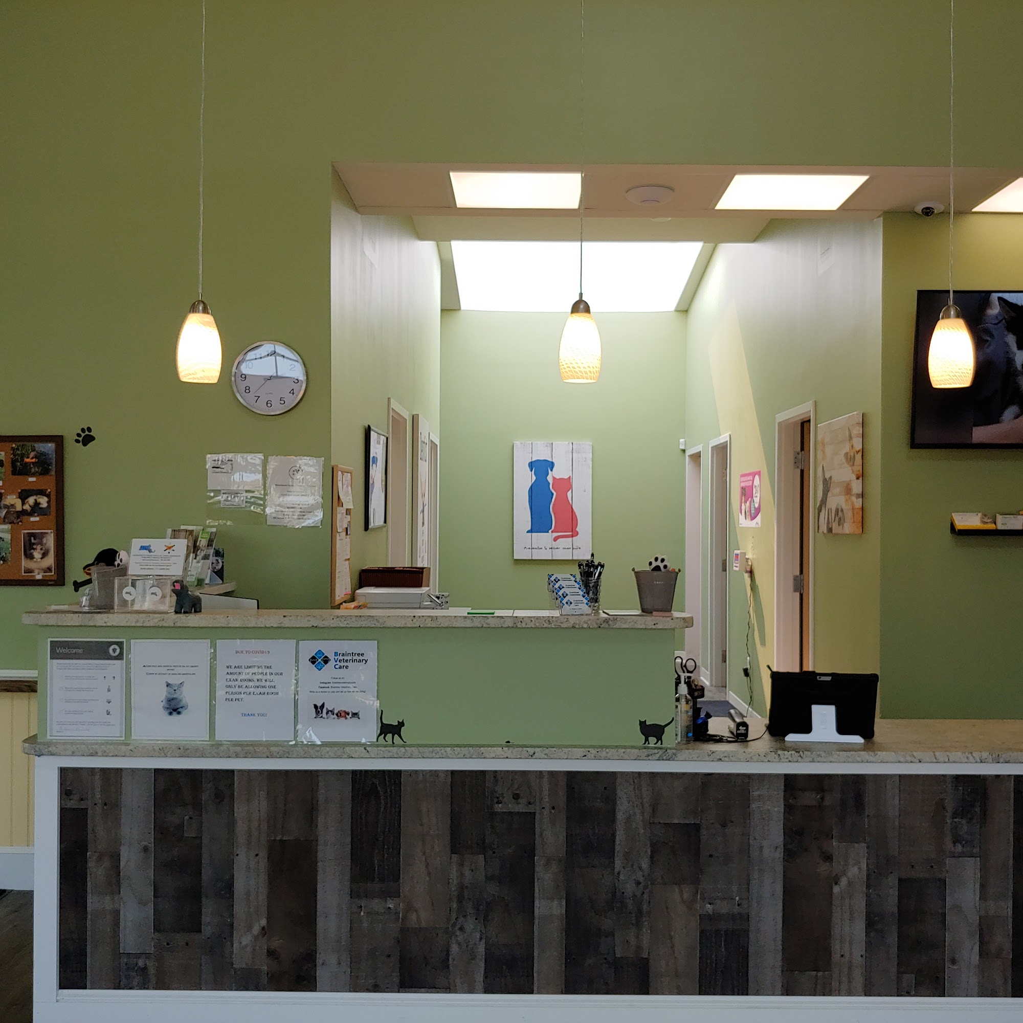 Braintree Veterinary Care Braintree