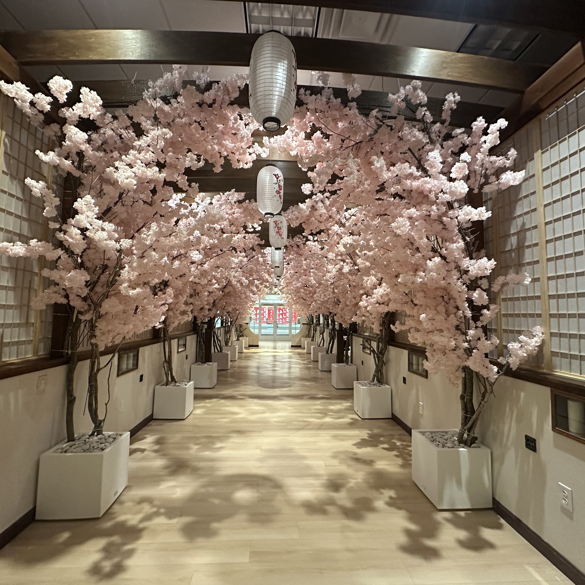 Lumi Spa 250 Granite St, Braintree Massachusetts 02184