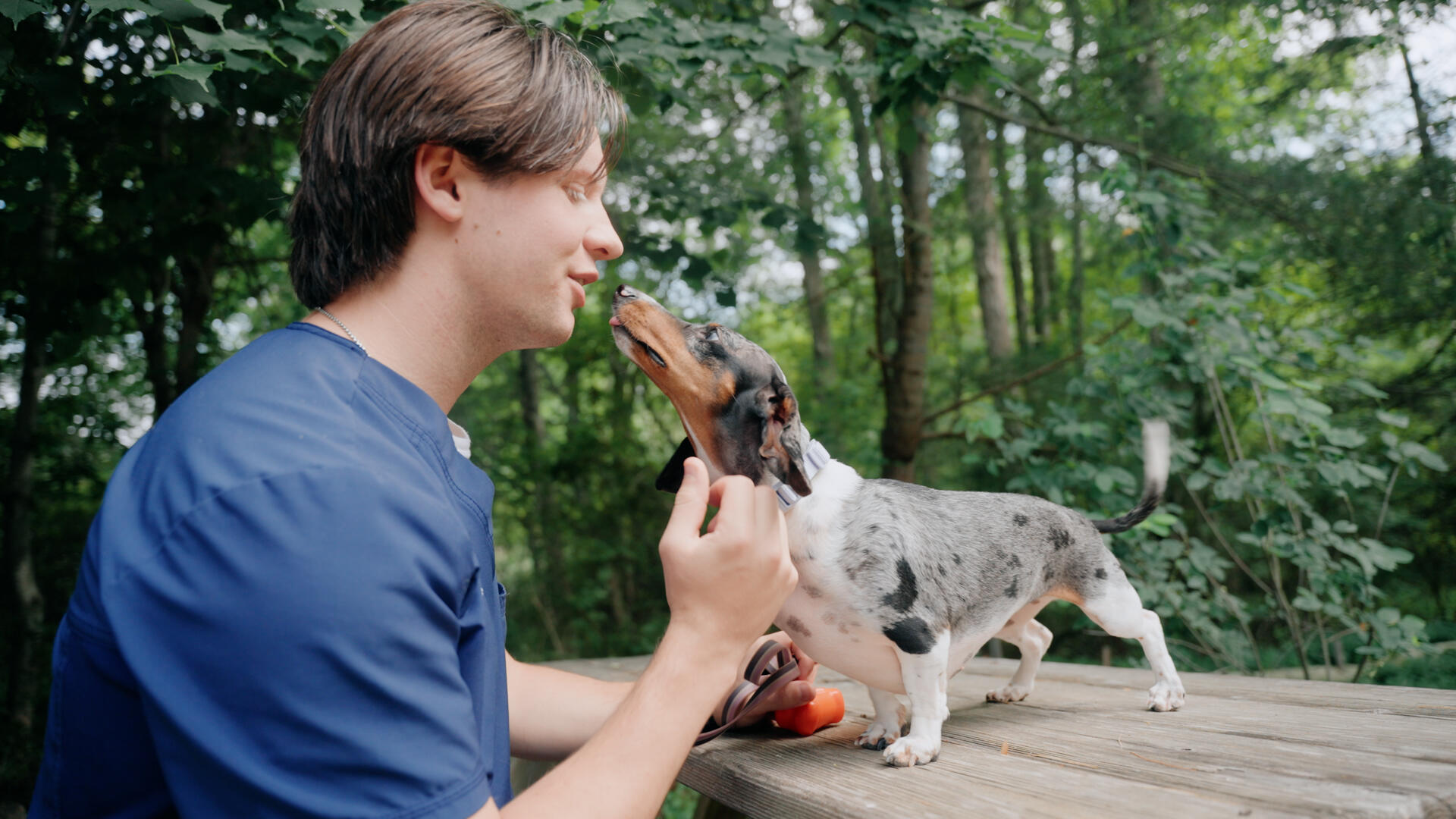 Brewster Veterinary Hospital Brewster