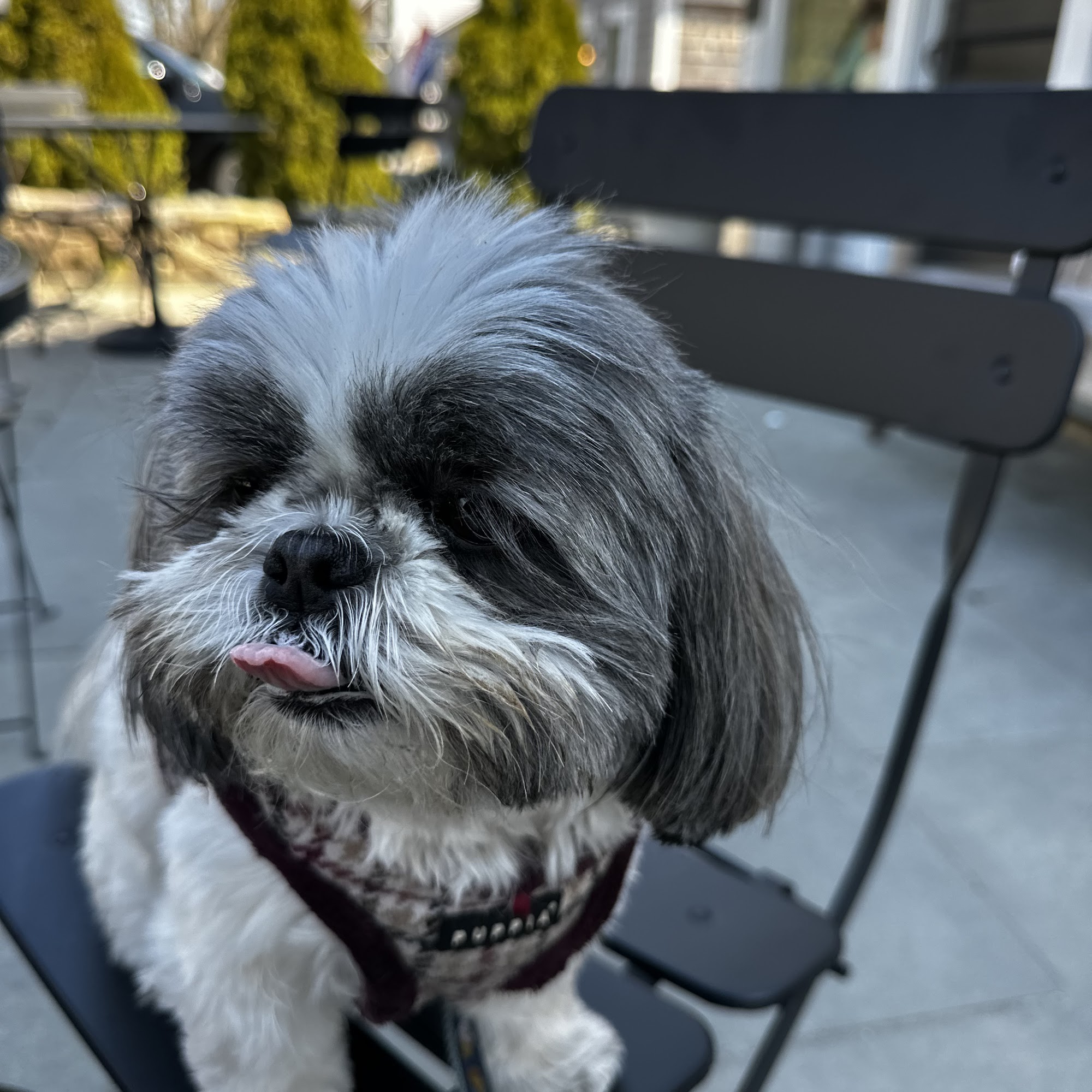 Brewster Veterinary Hospital Brewster