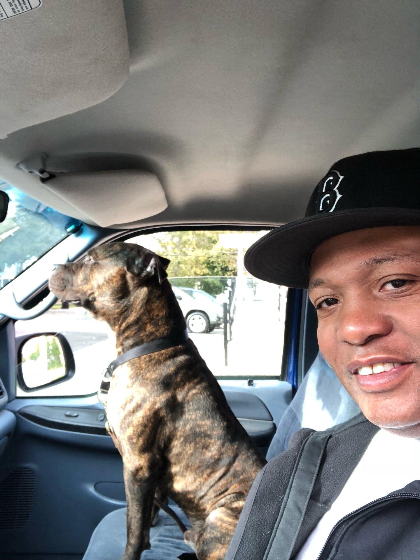 JM Pet Resort Brockton