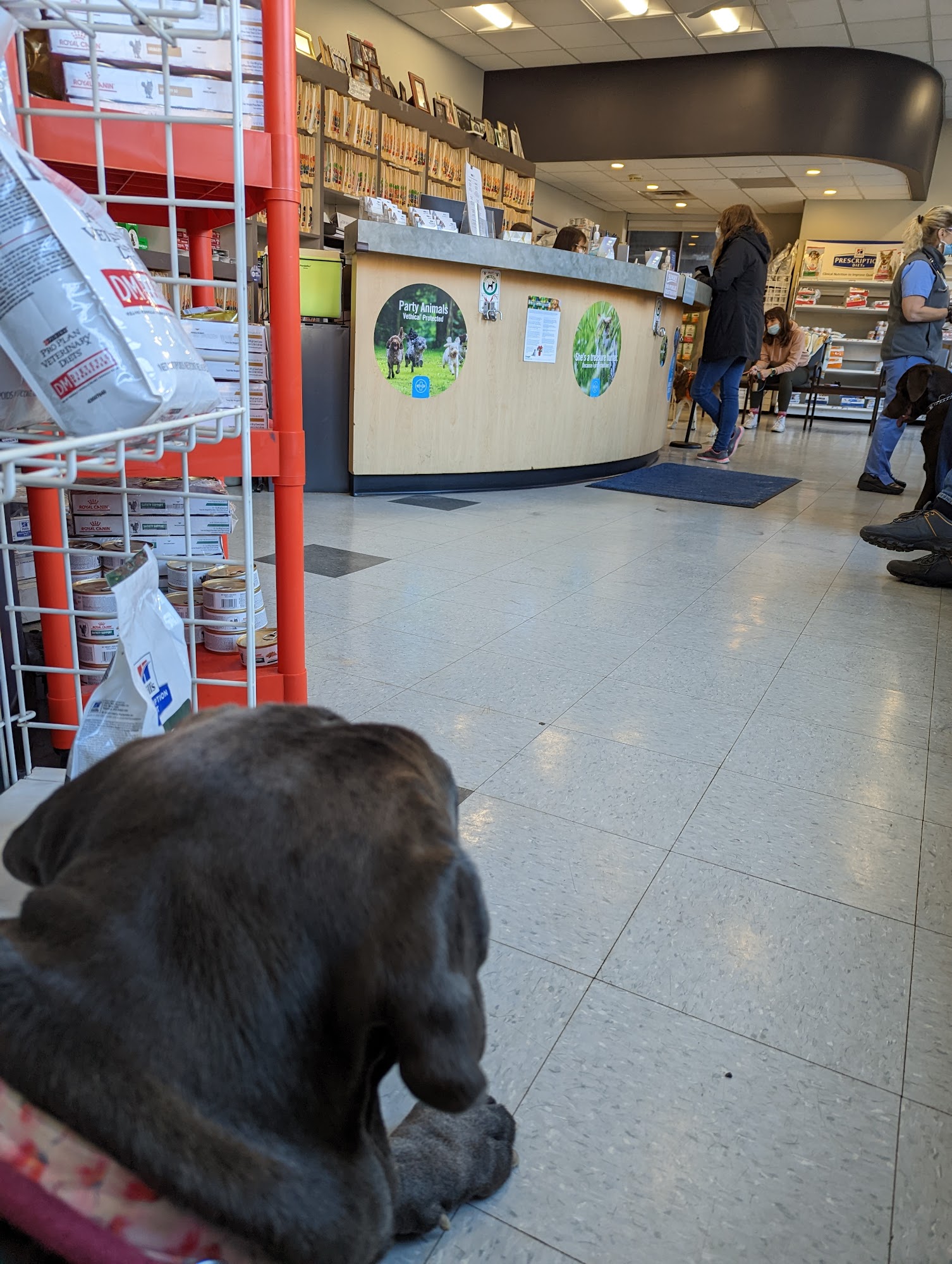 VCA Brookline Animal Hospital Brookline