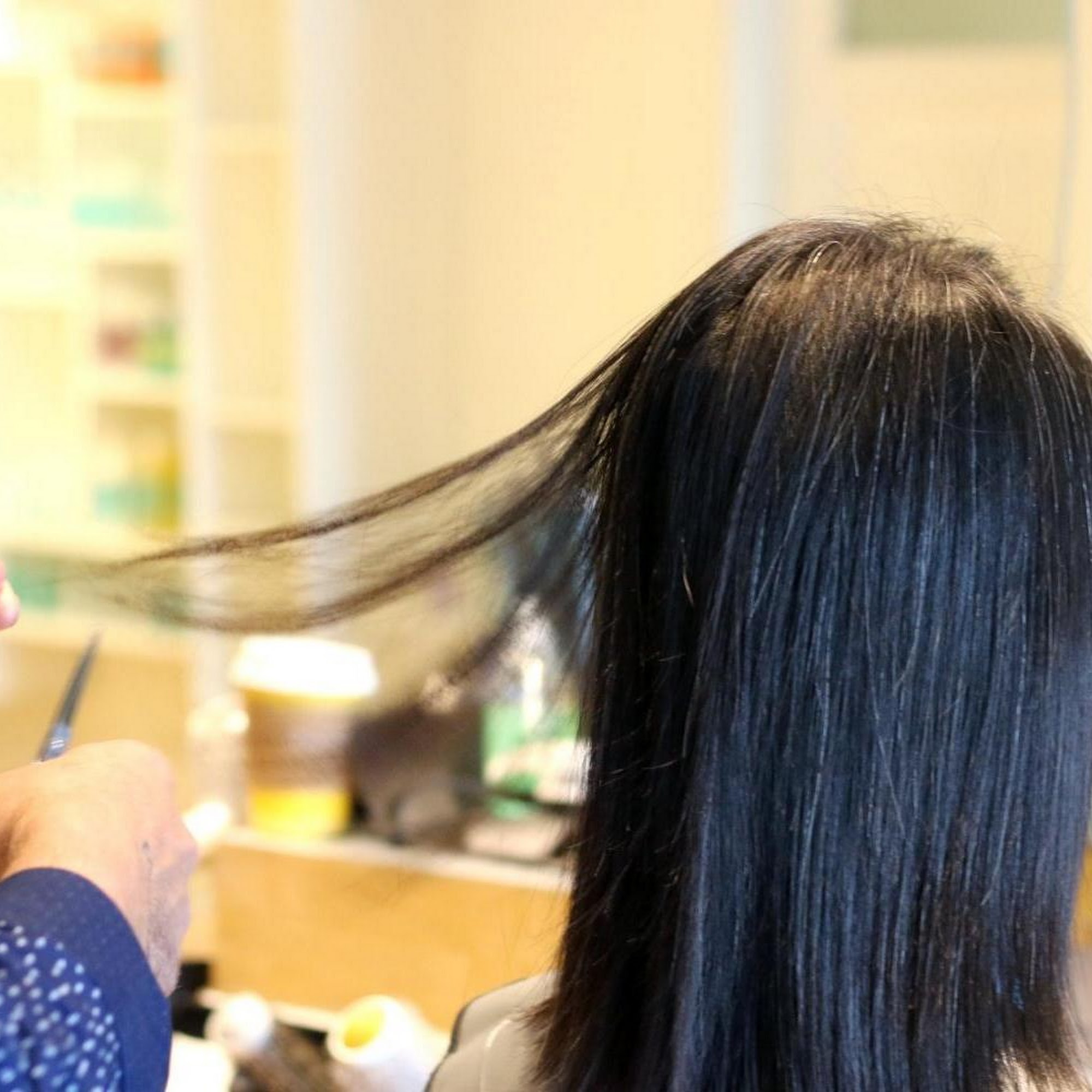 Maksou Dry Cut 318 Harvard St # 7, Brookline Massachusetts 02446