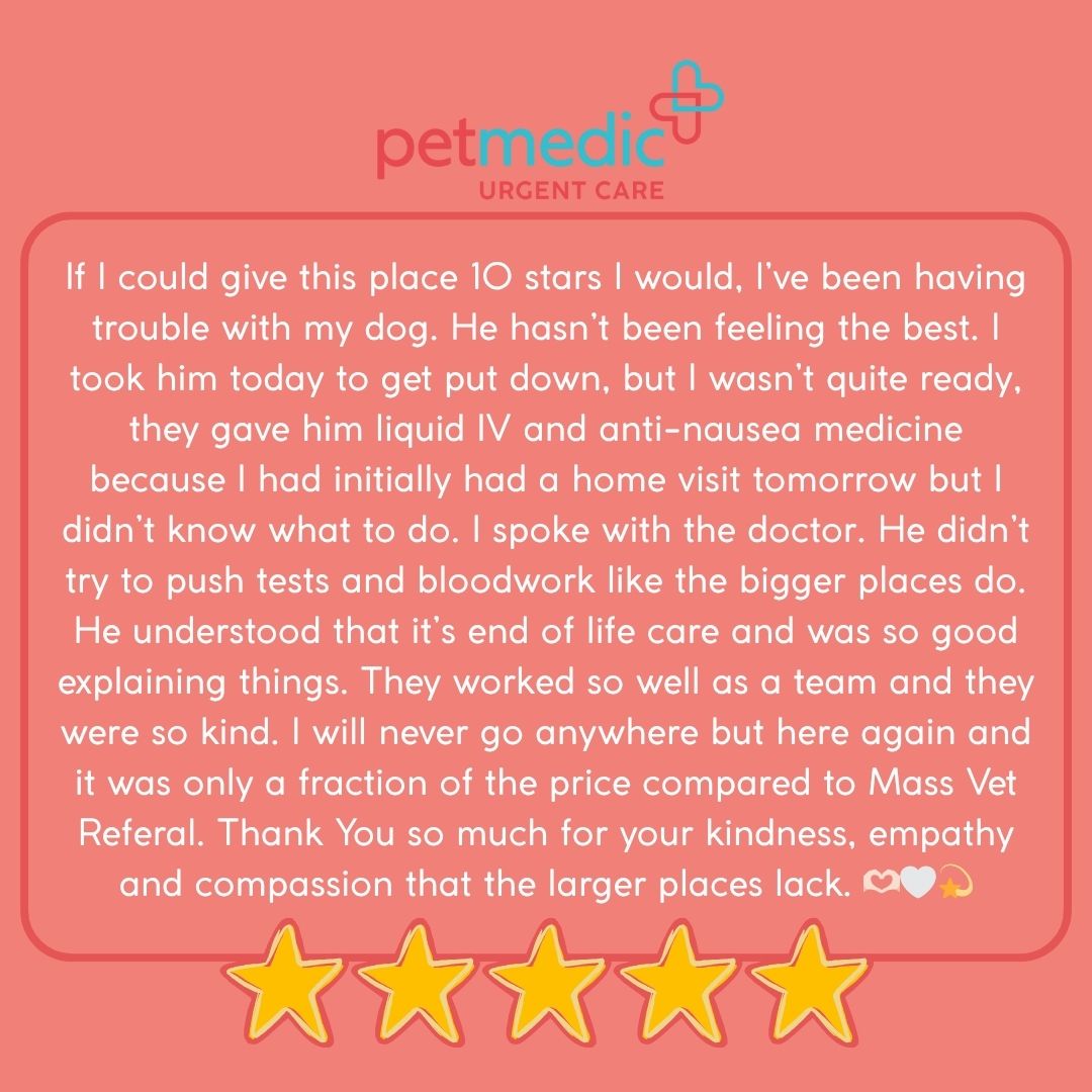 PetMedic Urgent Care Vet Clinic Burlington