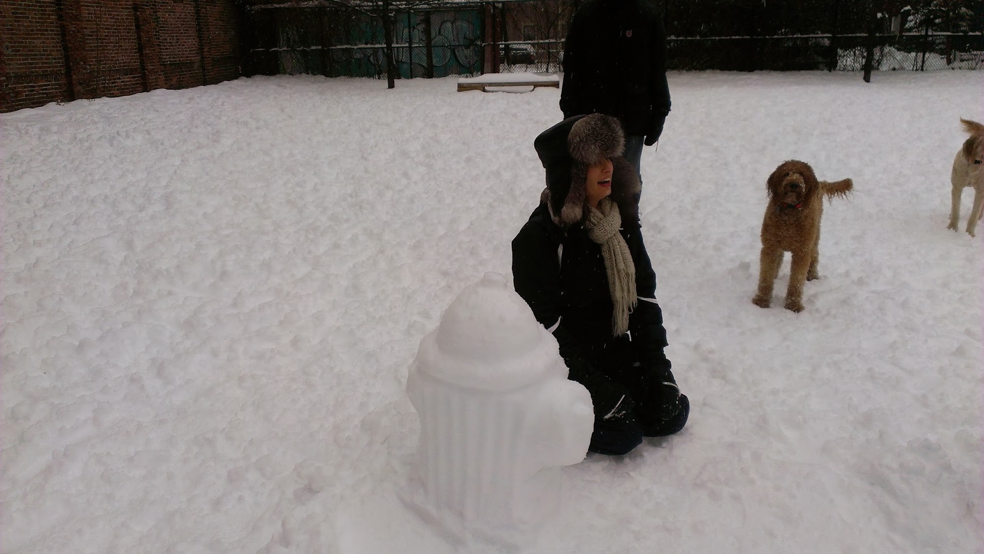 Tudor Dog Park Cambridge