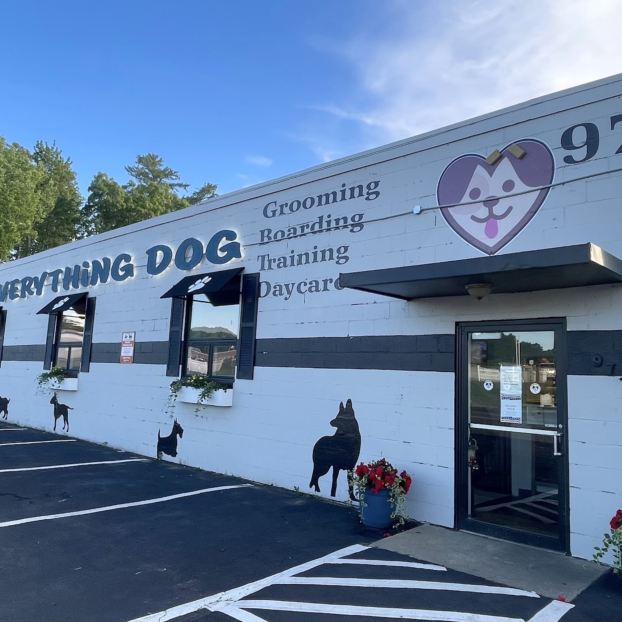 Everything Dog Canton