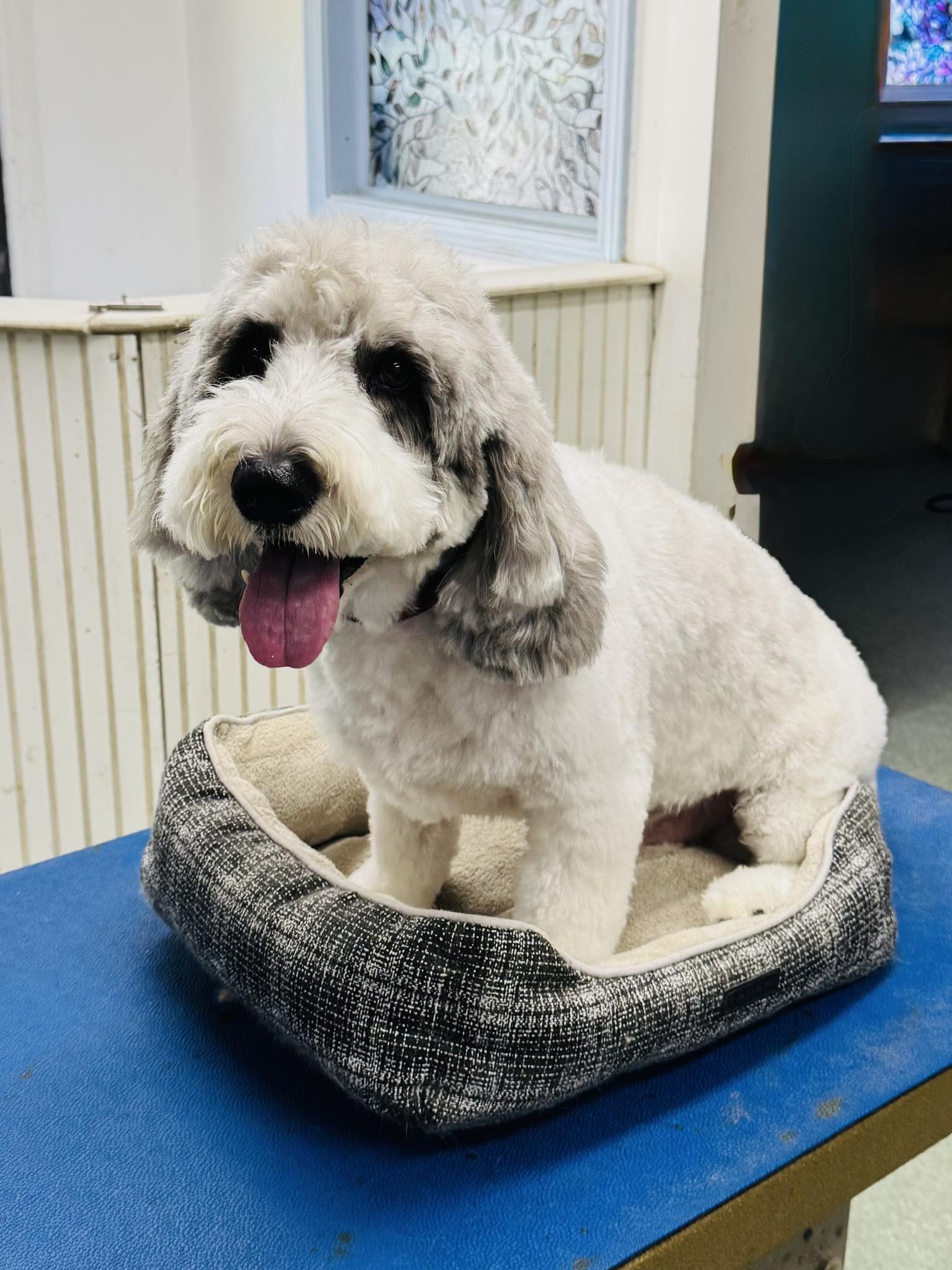 Roy-L Groomingdales Centerville