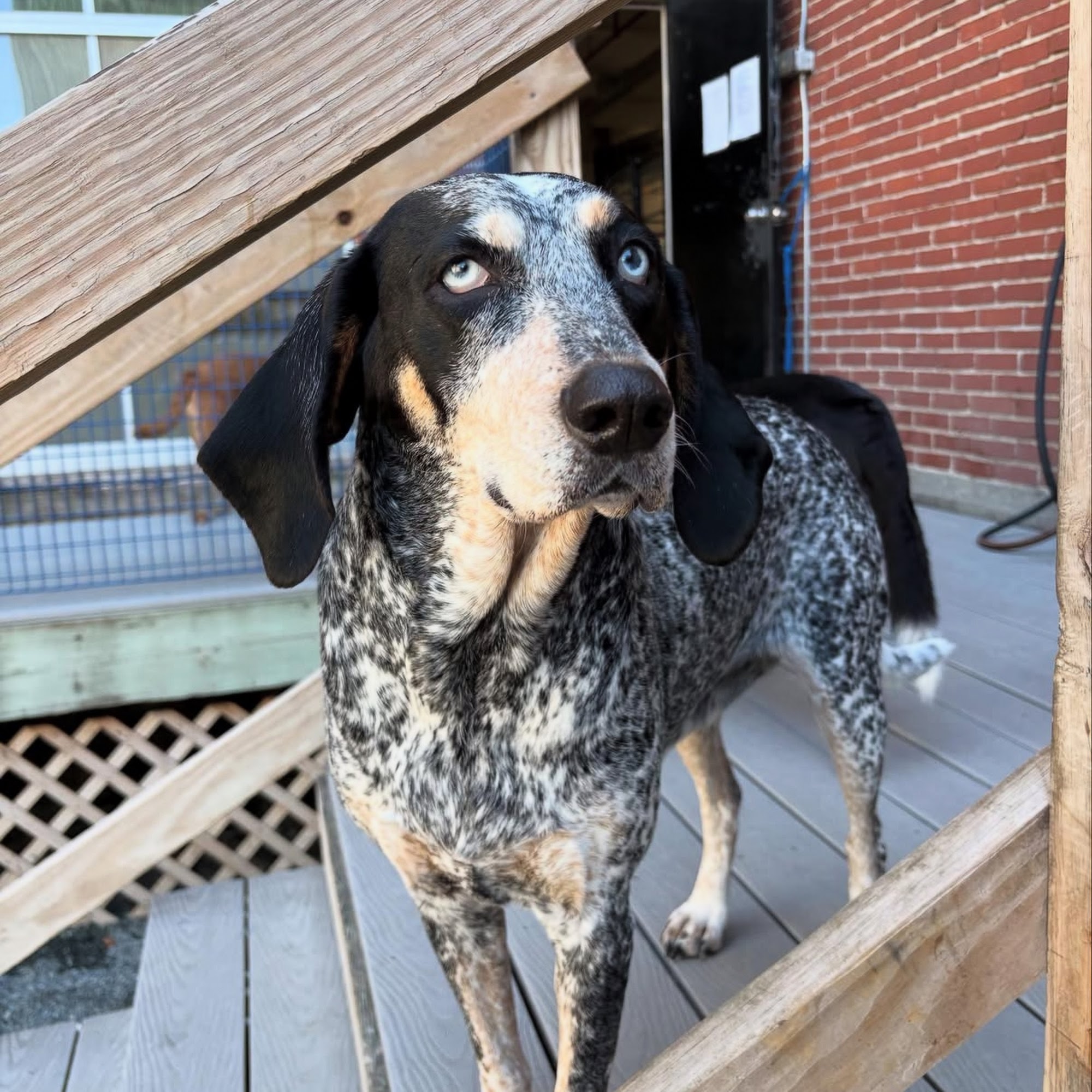 Suite Escape Charlestown