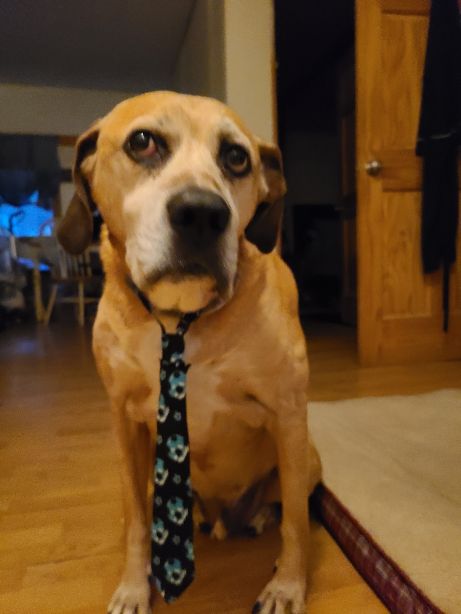 Post Road Veterinary Hospital Charlton