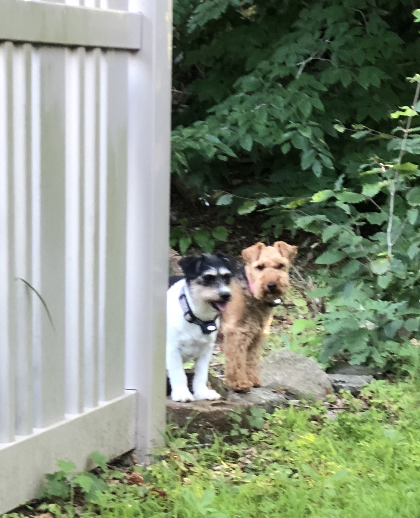 Baystate Mobile Veterinary Services Charlton