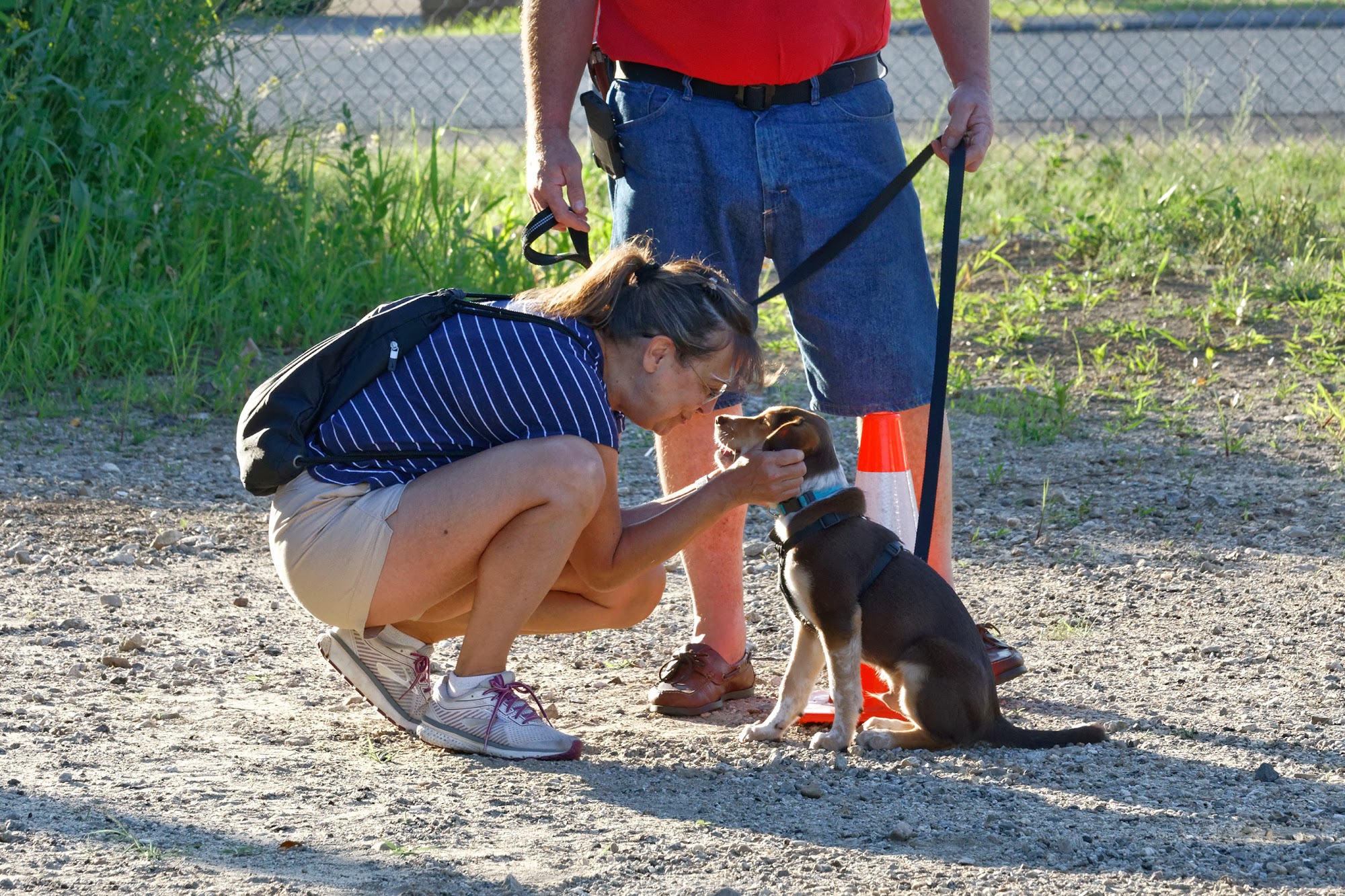 Pack of Paws Dog Training Charlton