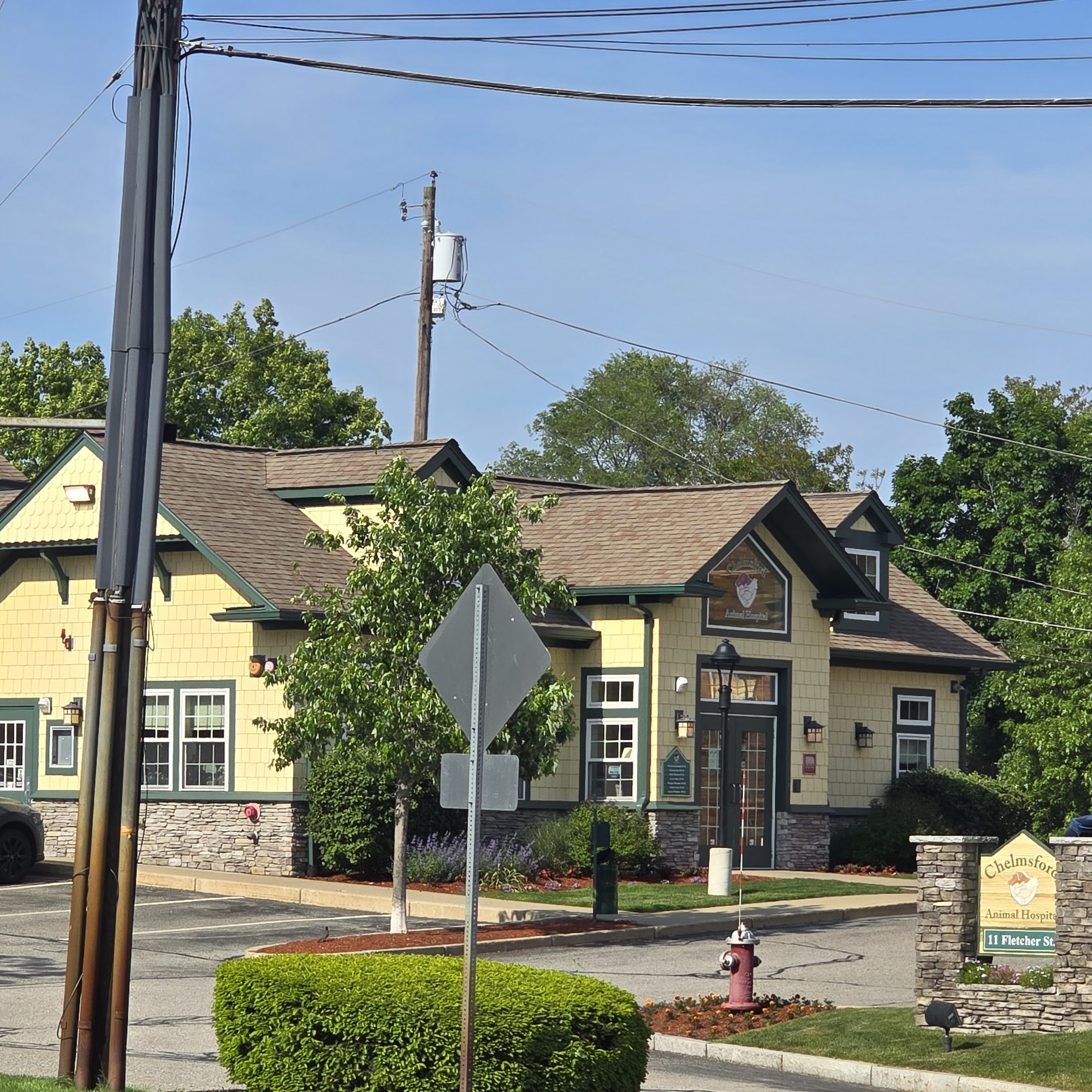 Chelmsford Animal Hospital Chelmsford