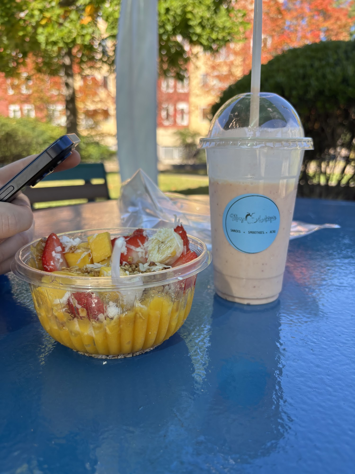 Mango AAntojito Menu