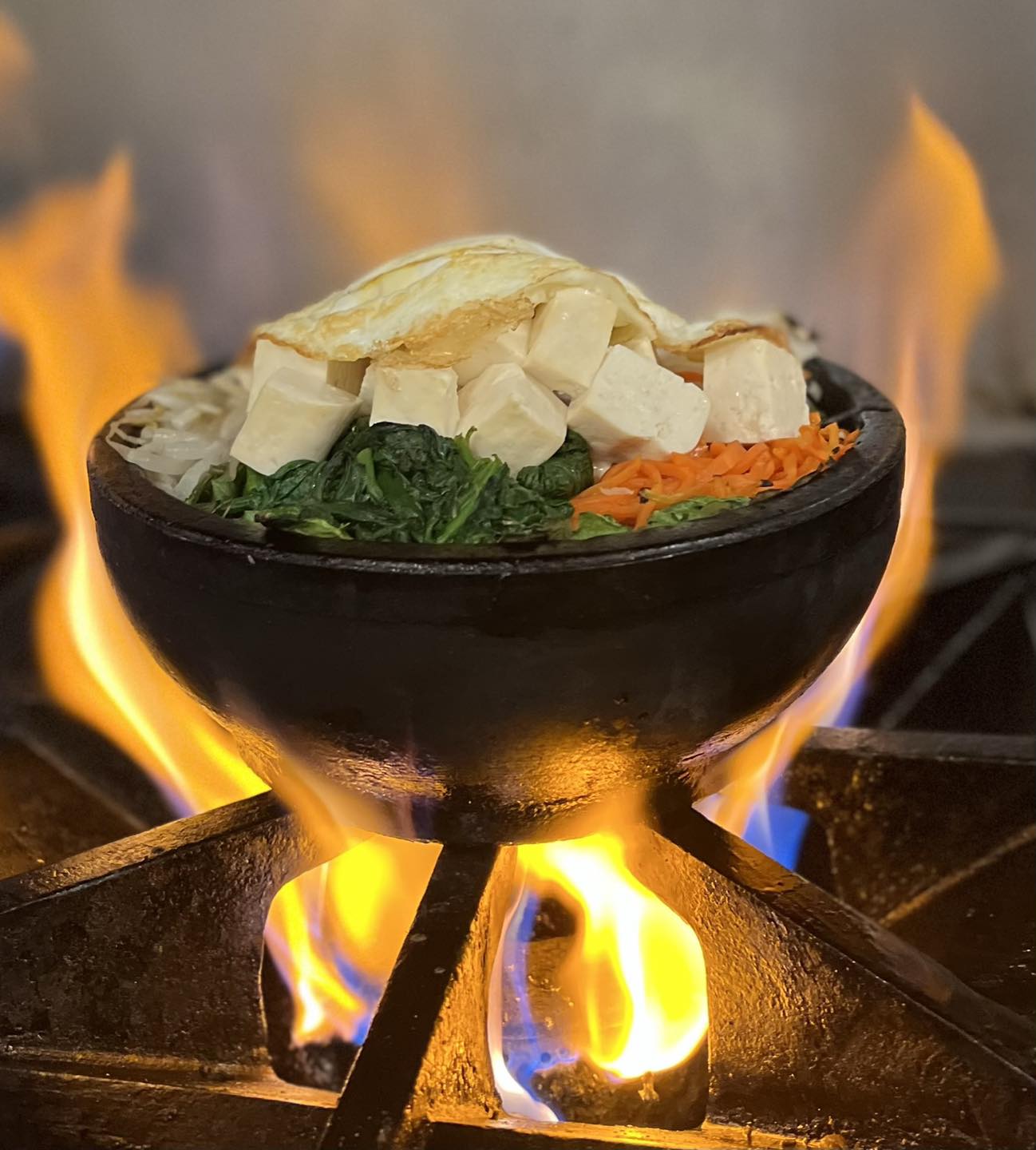 Misono Chestnut Hill