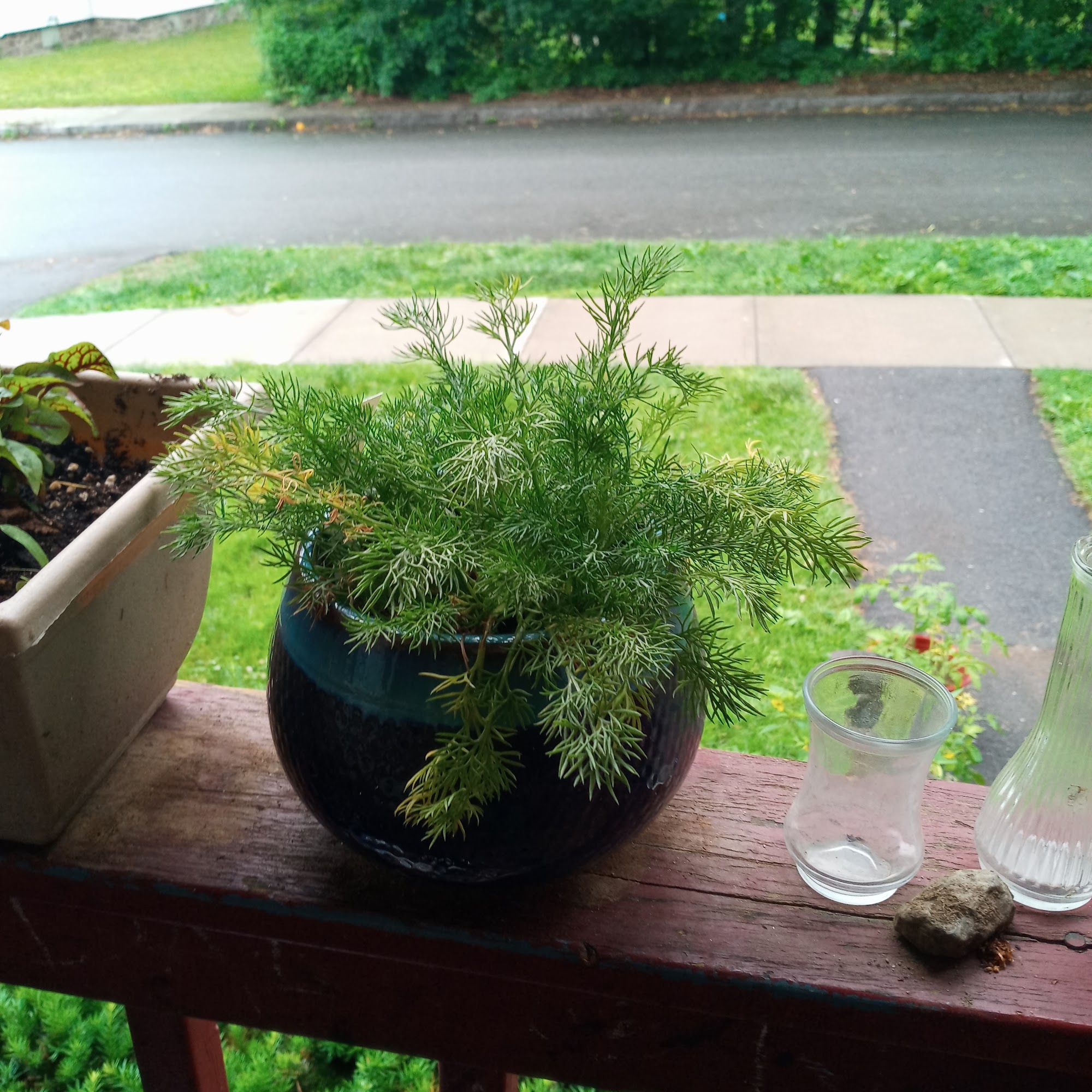 Lyonsville Farm Colrain