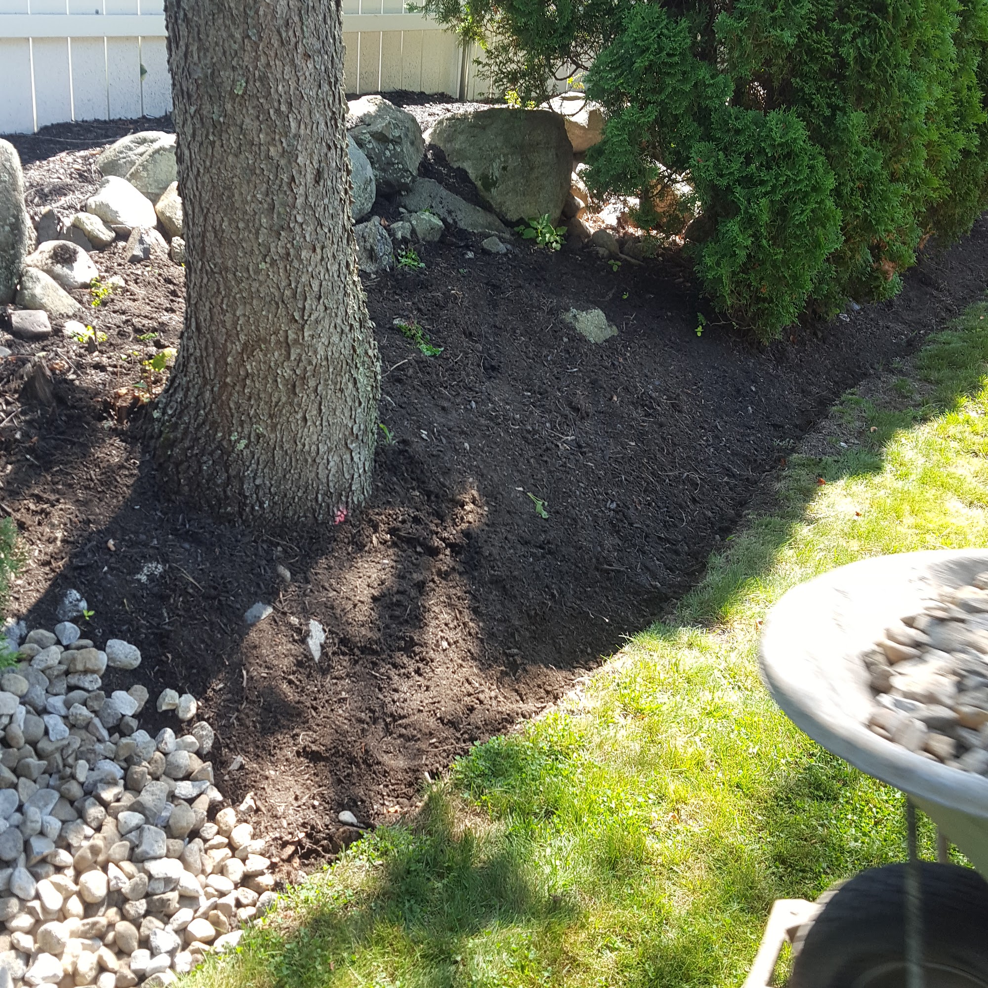 Clark's Ark Pet Care Danvers