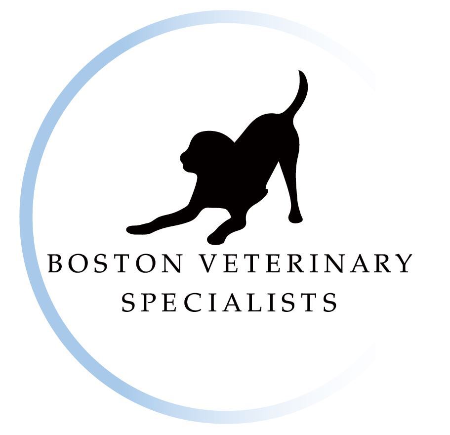 Boston Veterinary Specialists Dedham