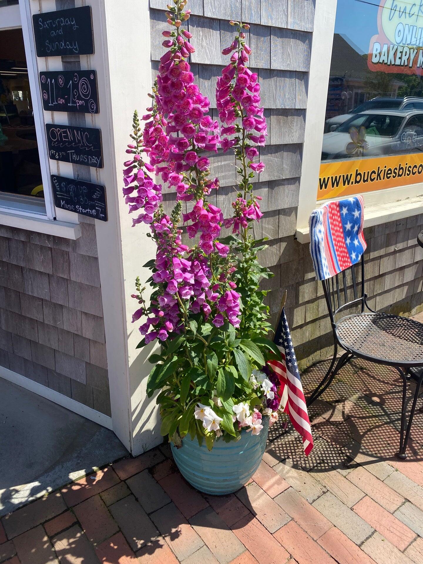 Photo credit: nextdoor
