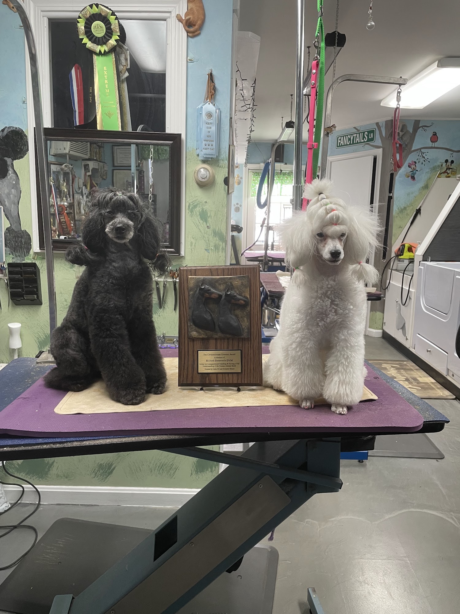 Fancytails Grooming Dracut