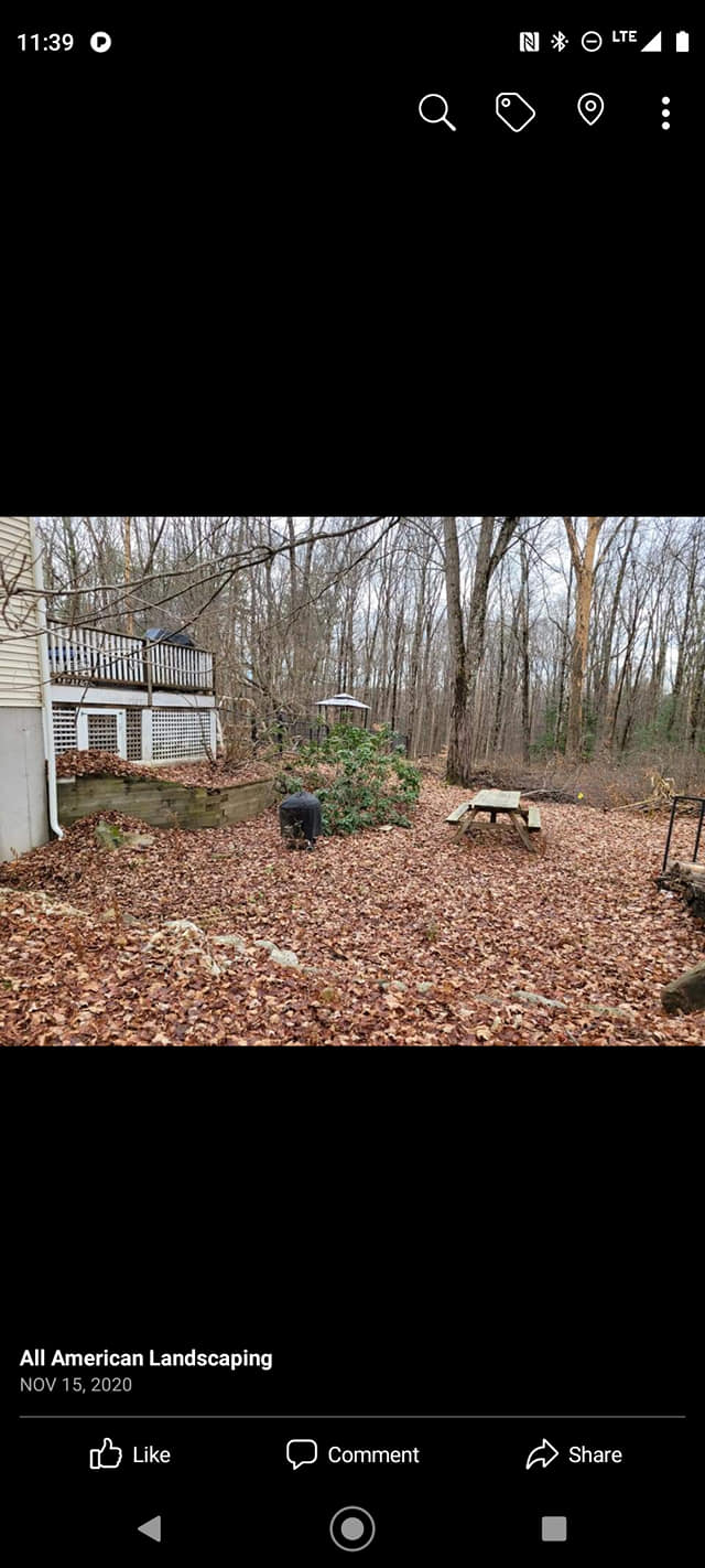 All American Landscaping