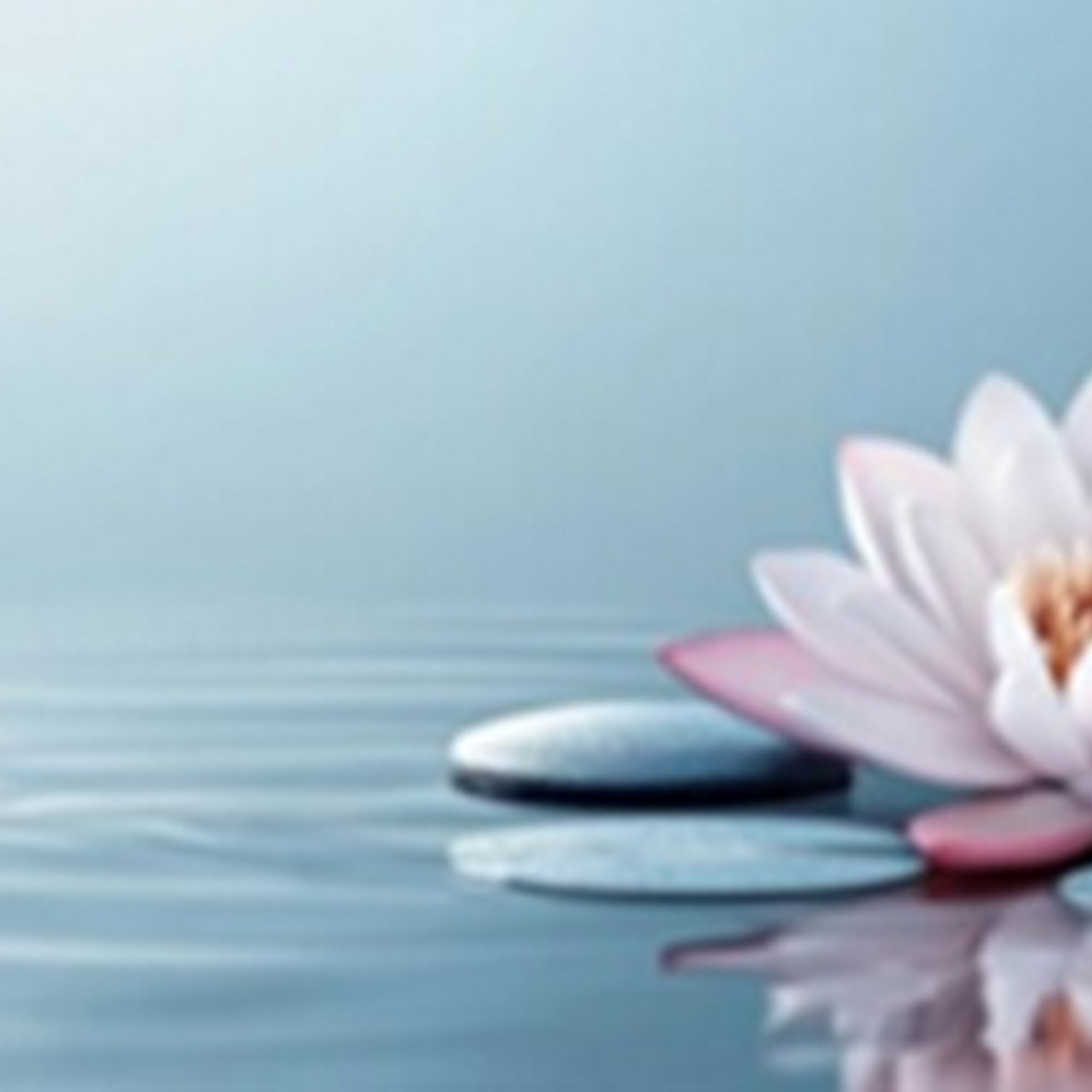 Red Lotus Wellness Center