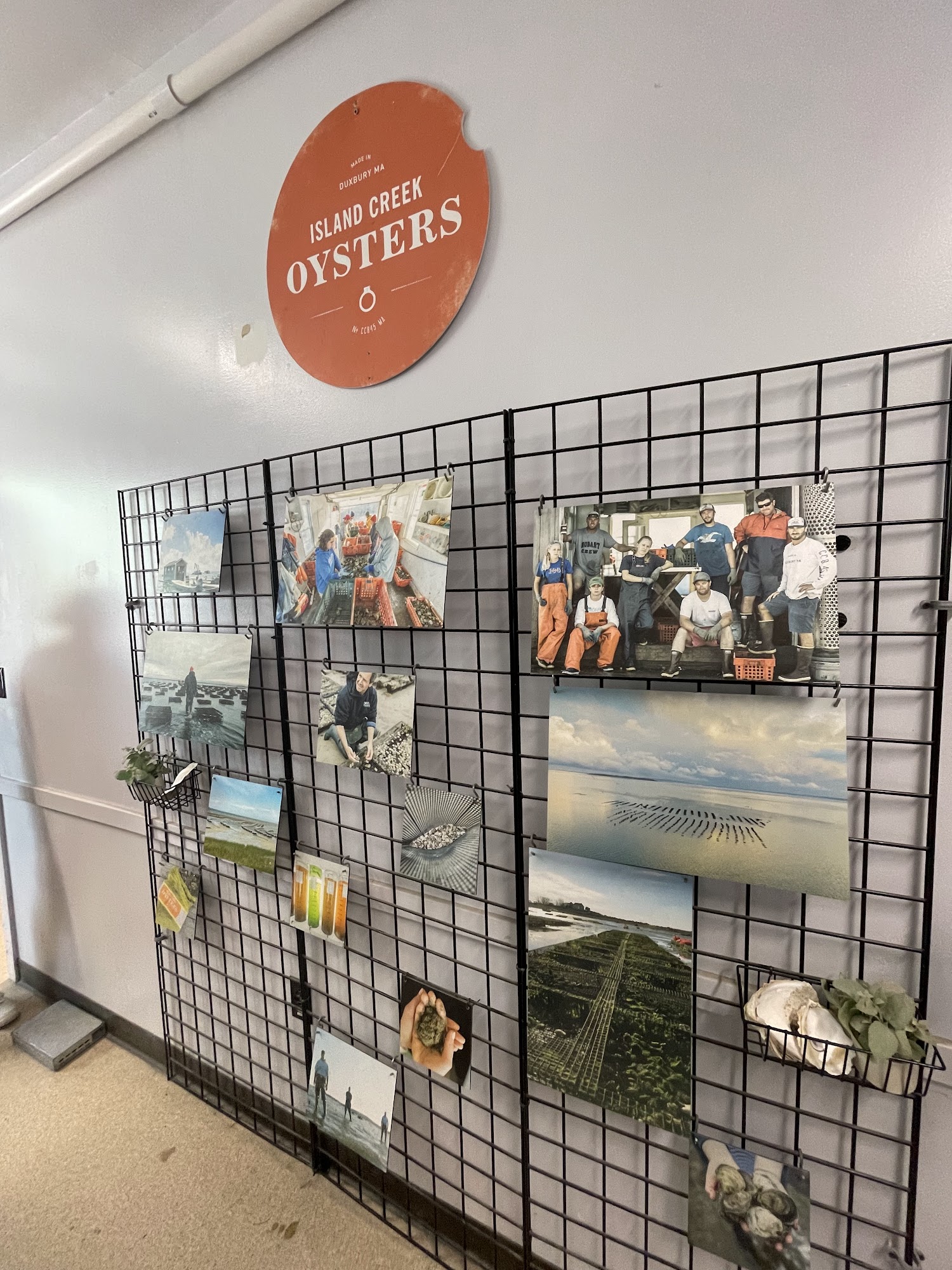 Island Creek Oysters Duxbury