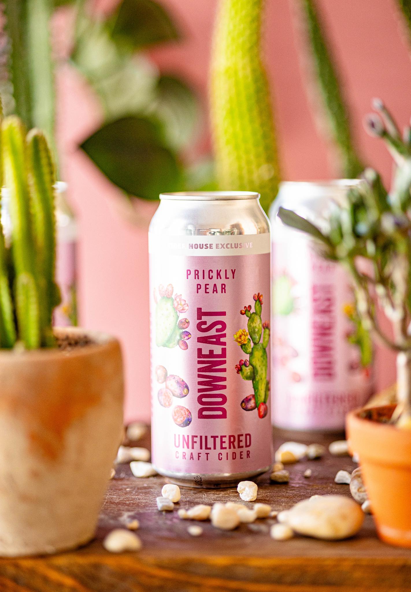 Downeast Cider House East Boston