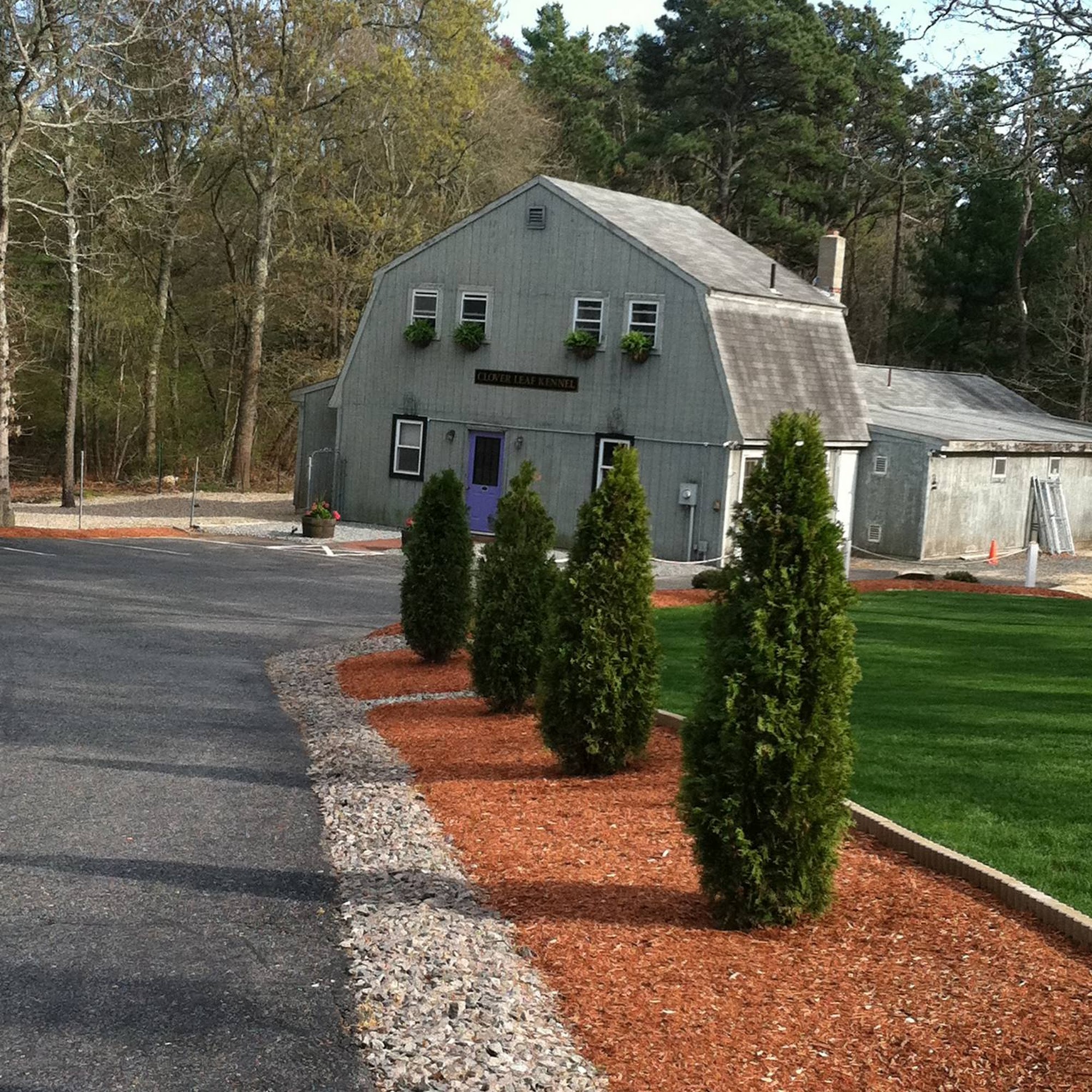 Cloverleaf Pet Lodge East Falmouth