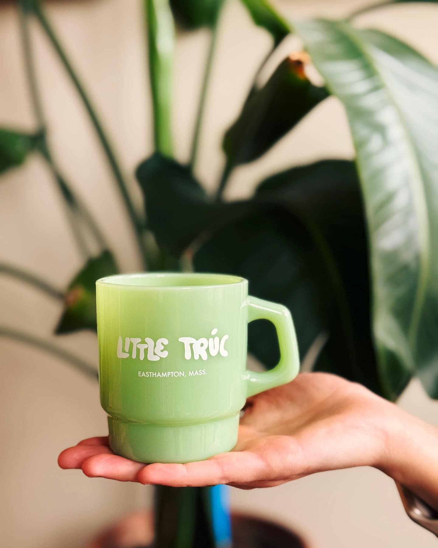 Little Trúc Easthampton