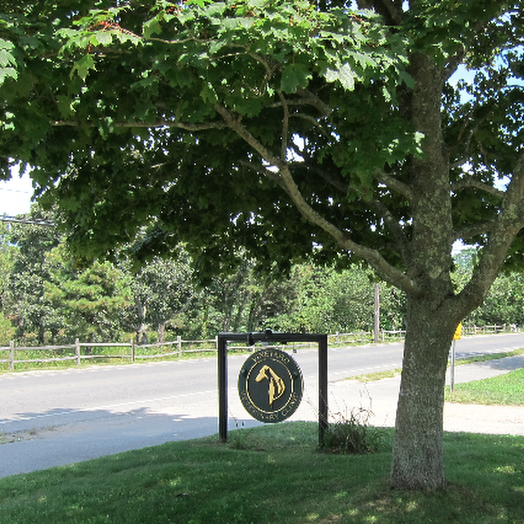 Vineyard Veterinary Clinic Edgartown