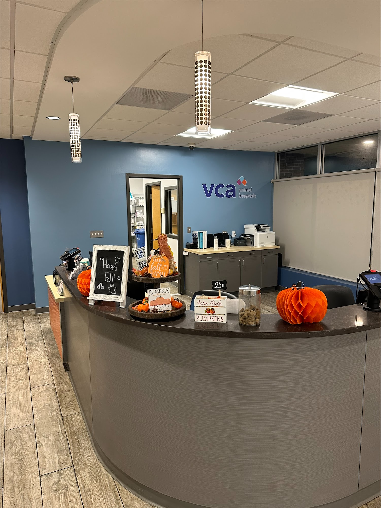 VCA Everett Animal Hospital Everett