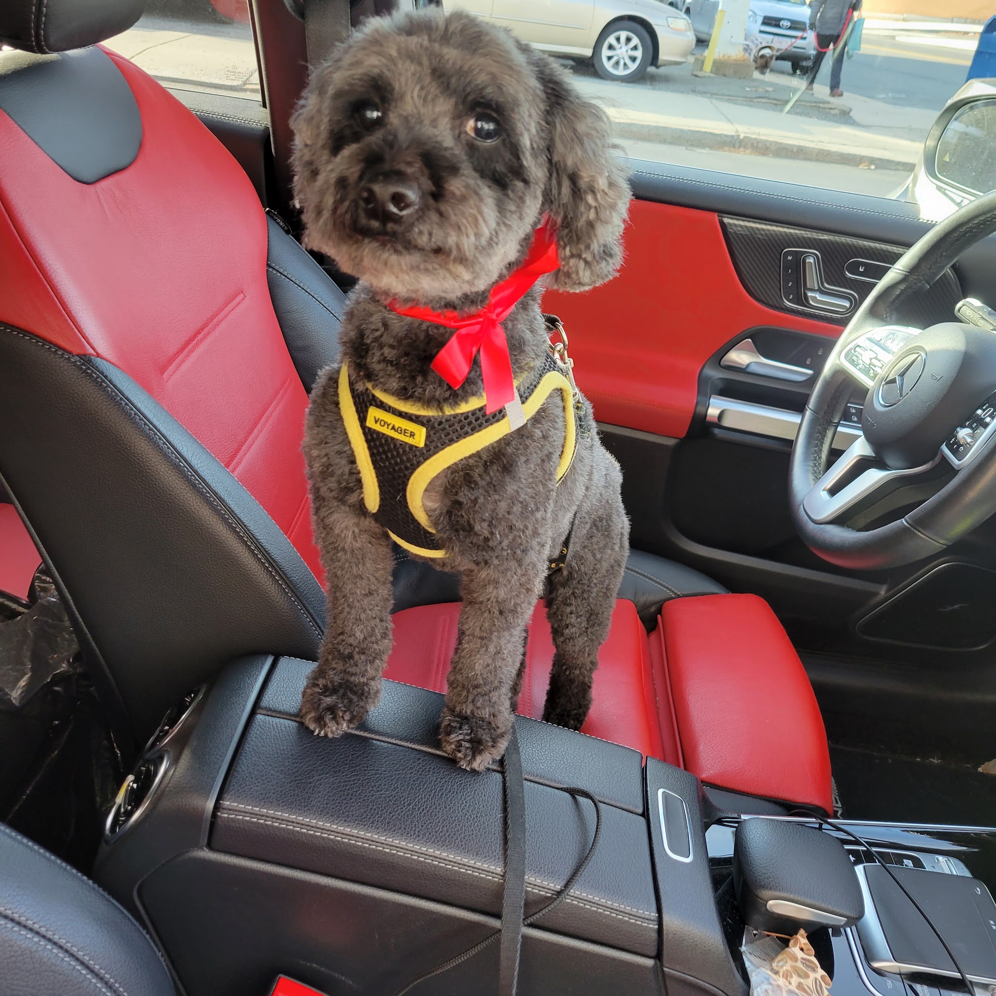 Clip And Dip Everett