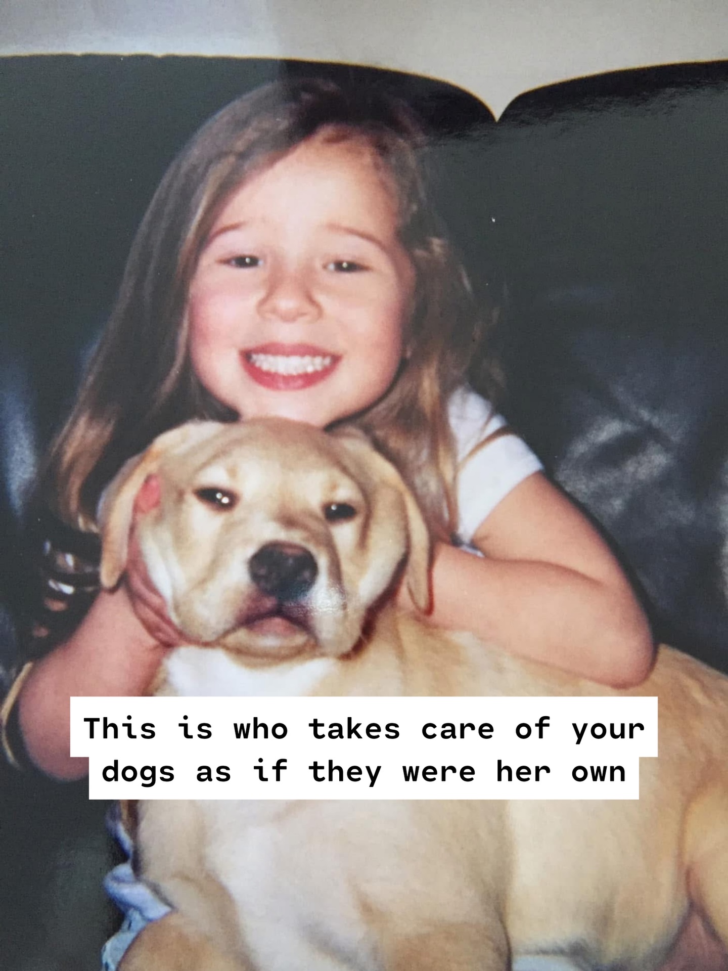 Park-9 Dog Bar Everett