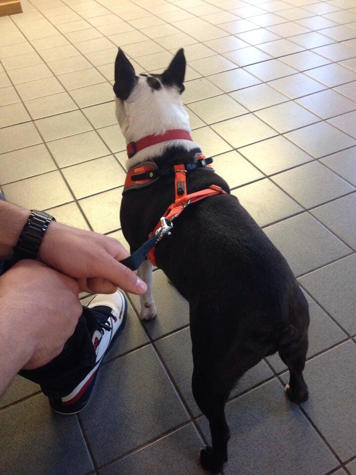 New England Animal Hospital Fairhaven