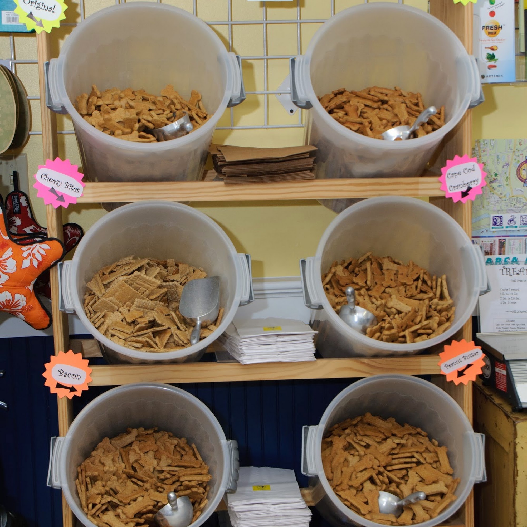 Uptown Dog Cape Cod Falmouth