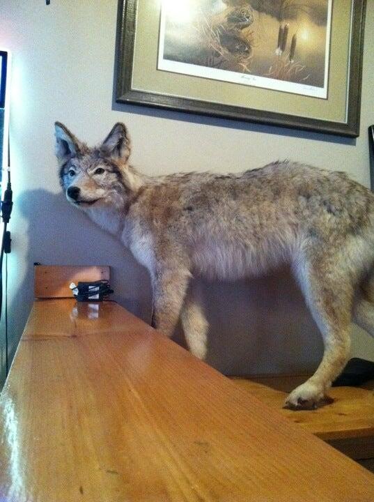 Photo credit: nextdoor