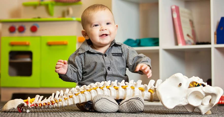 Mulcahy Family Chiropractic