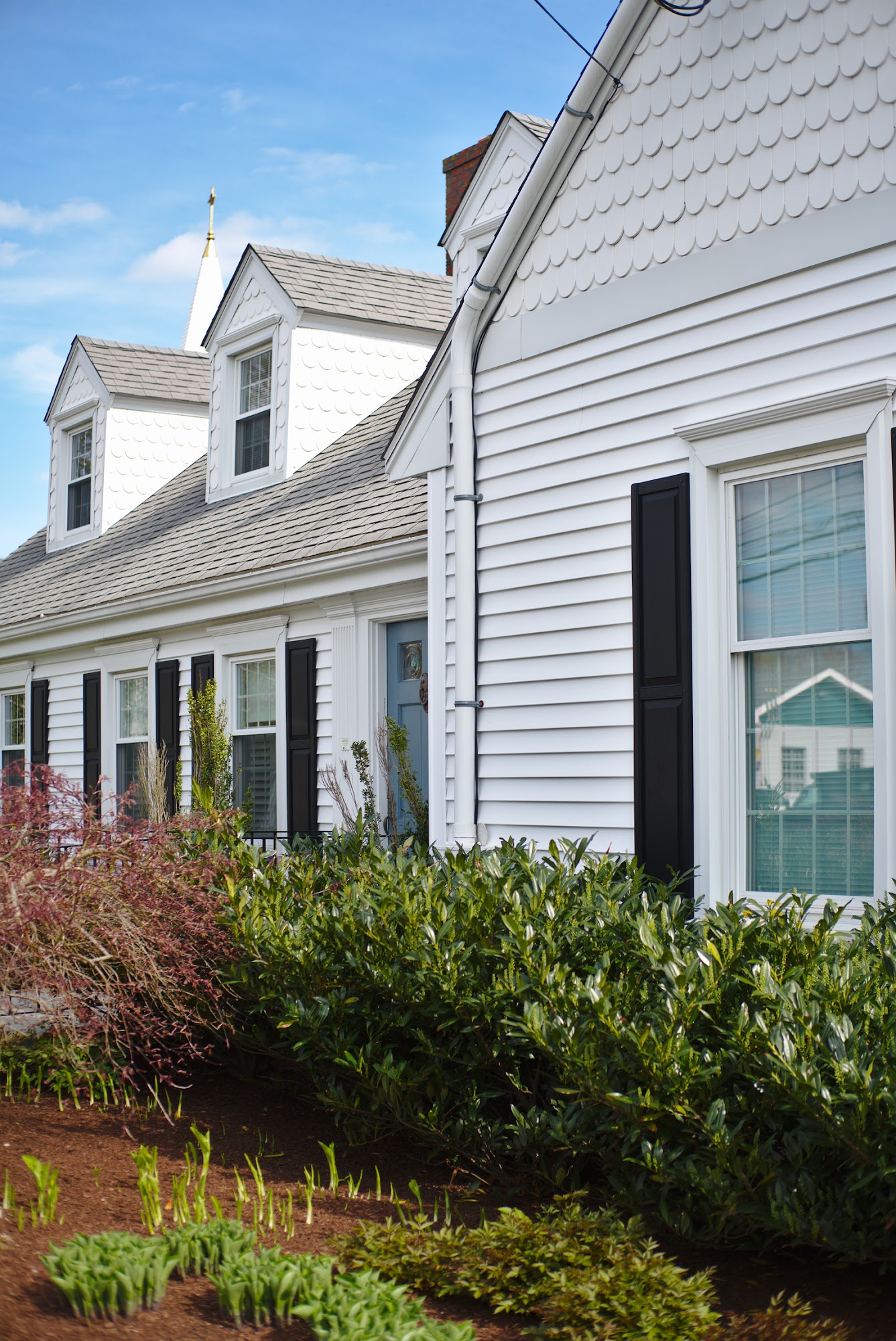 Chapman Funerals & Cremations